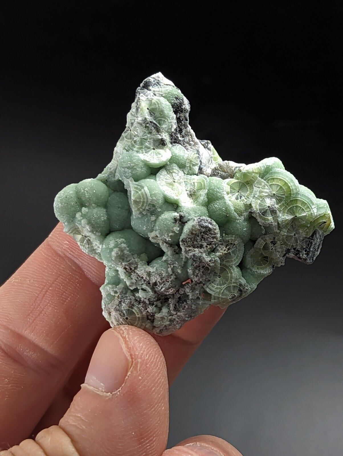 Wavellite - Fantastic Old Stock - Mauldin Mountain Arkansas - Collectibles:Rocks Fossils & Minerals:Crystals Mineral
