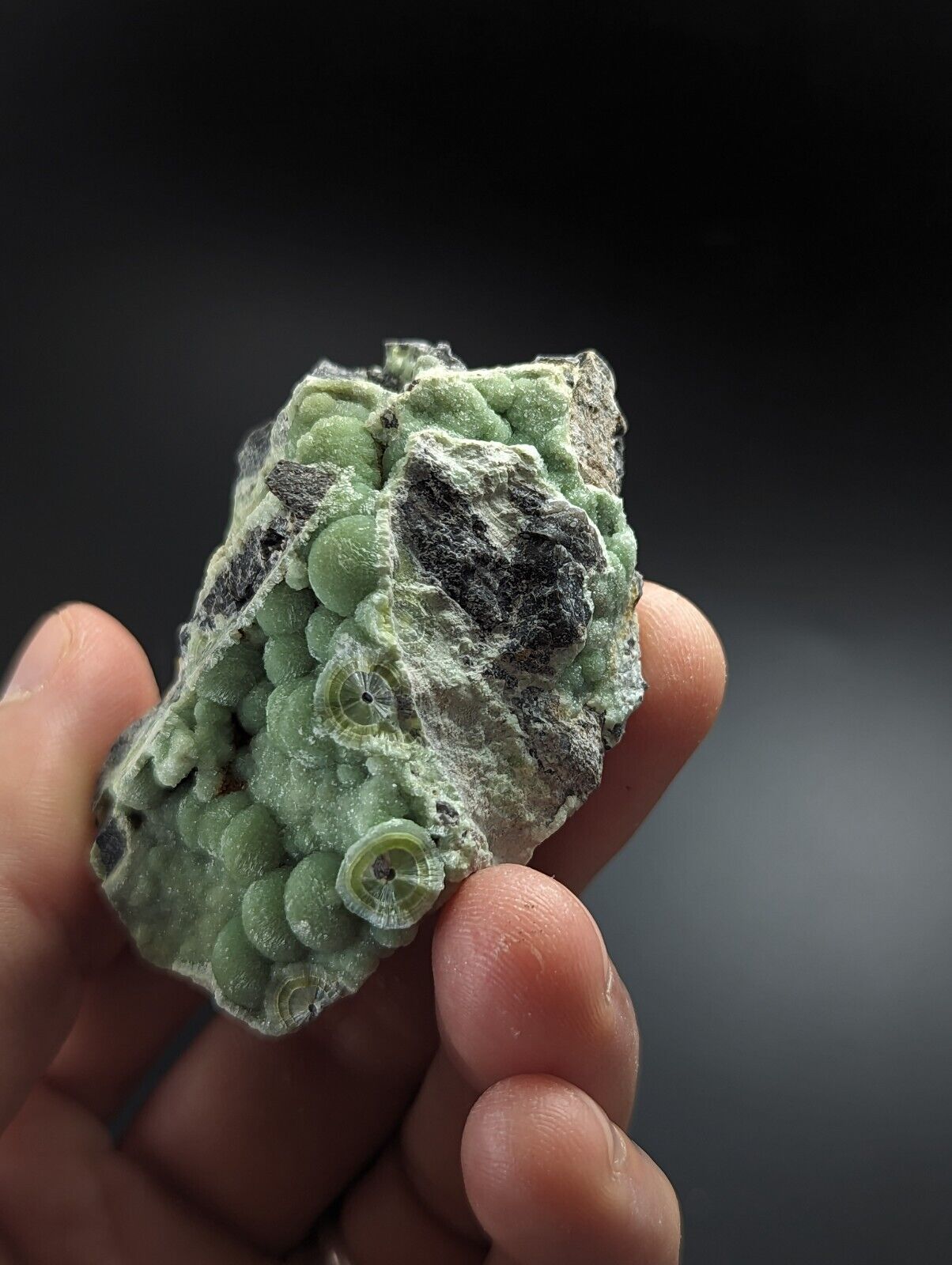 Wavellite - Fantastic Old Stock - Mauldin Mountain Arkansas A + + - Collectibles:Rocks Fossils & Minerals:Crystals