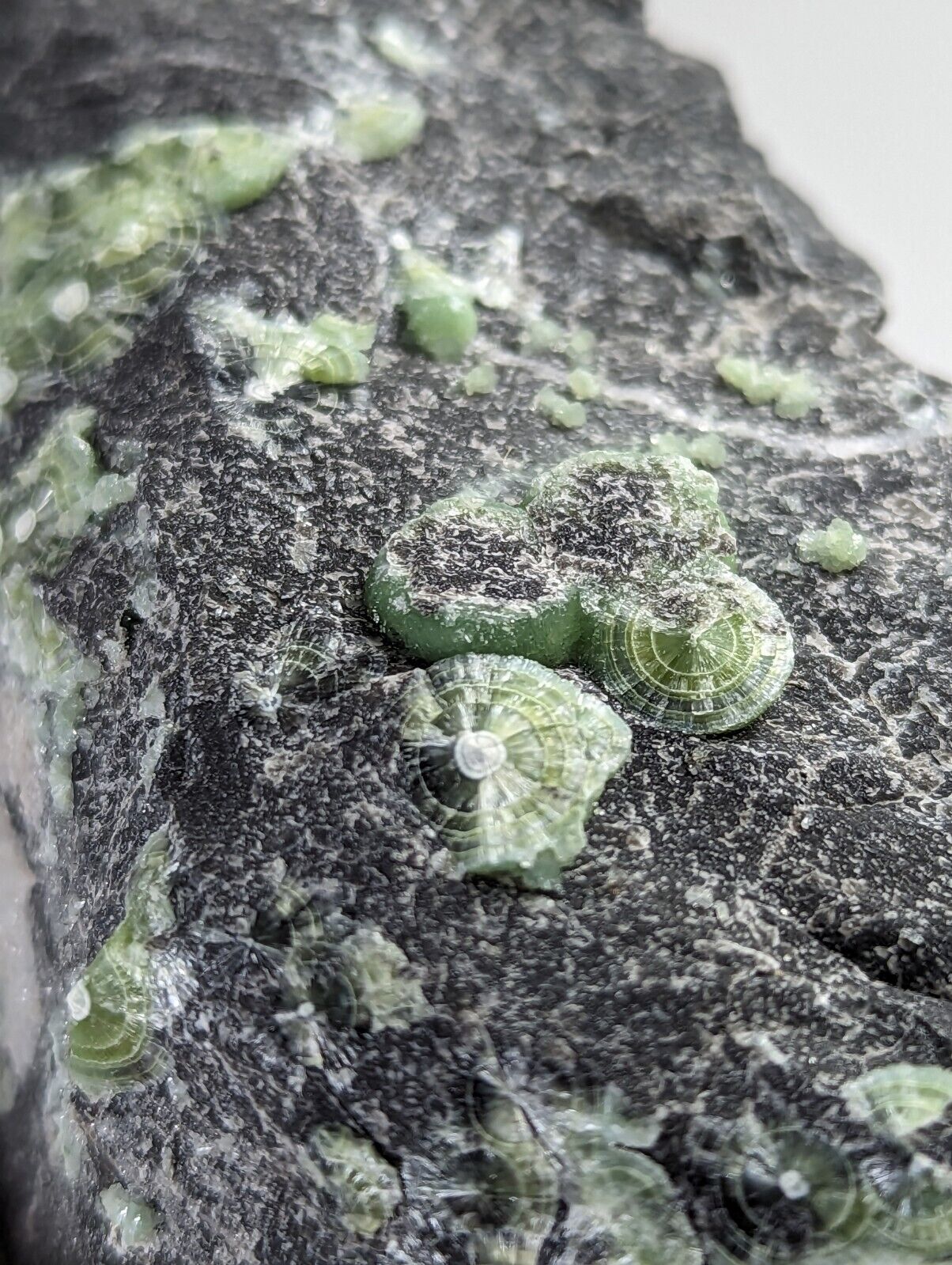 Wavellite - Fantastic Old Stock - Mauldin Mountain Arkansas - Collectibles:Rocks Fossils & Minerals:Crystals Mineral