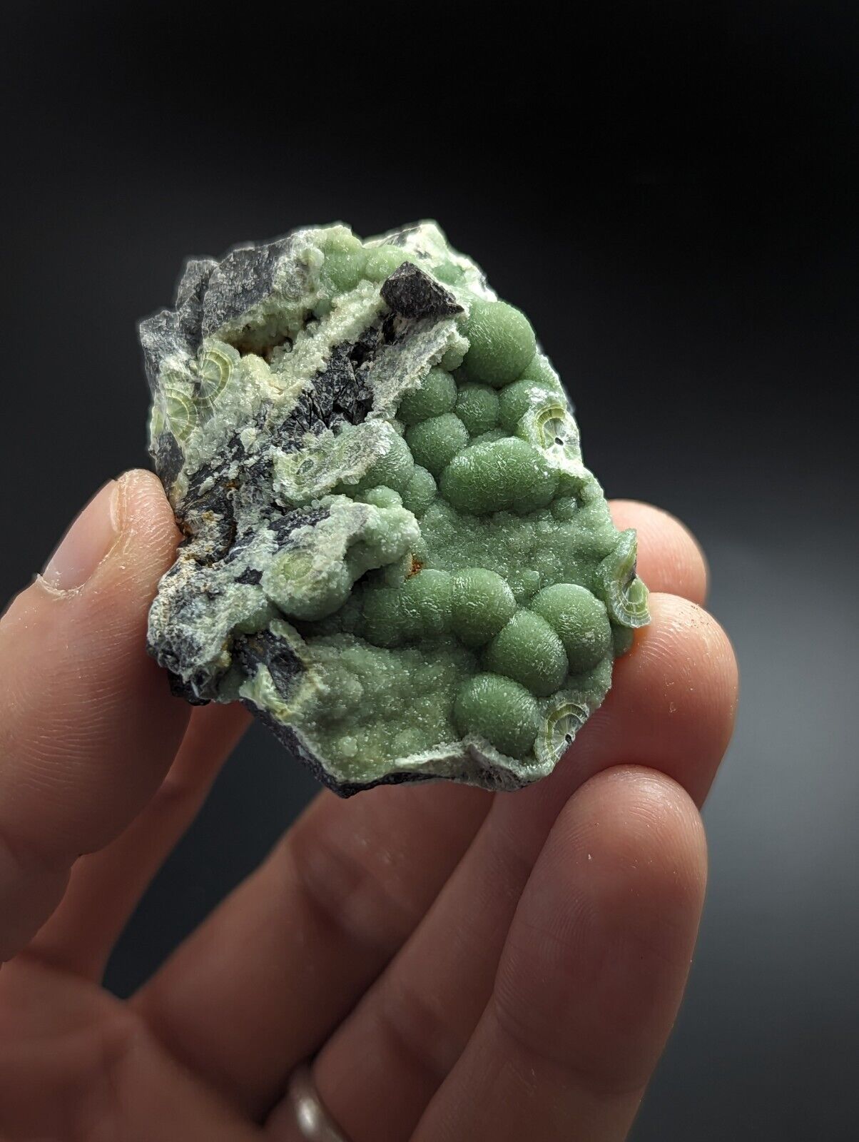 Wavellite - Fantastic Old Stock - Mauldin Mountain Arkansas A + + - Collectibles:Rocks Fossils & Minerals:Crystals