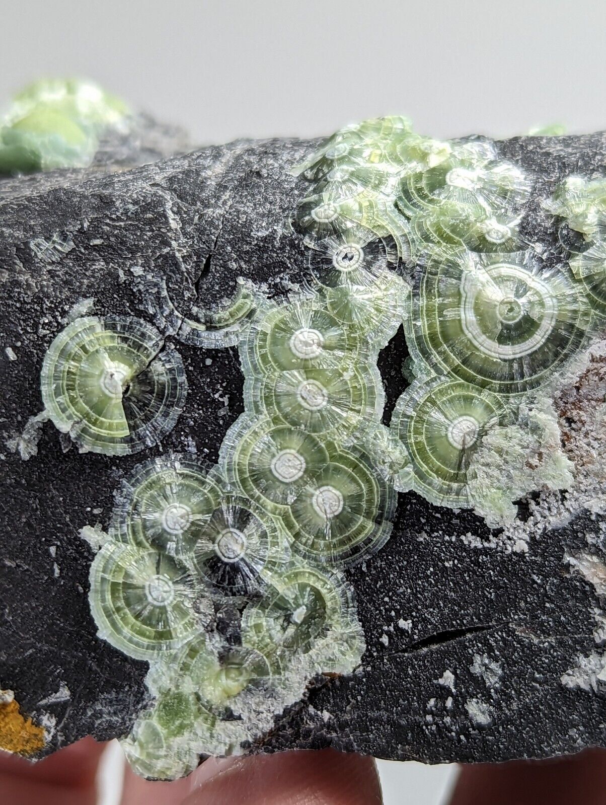 Wavellite - Fantastic Old Stock - Mauldin Mountain Arkansas - Collectibles:Rocks Fossils & Minerals:Crystals Mineral