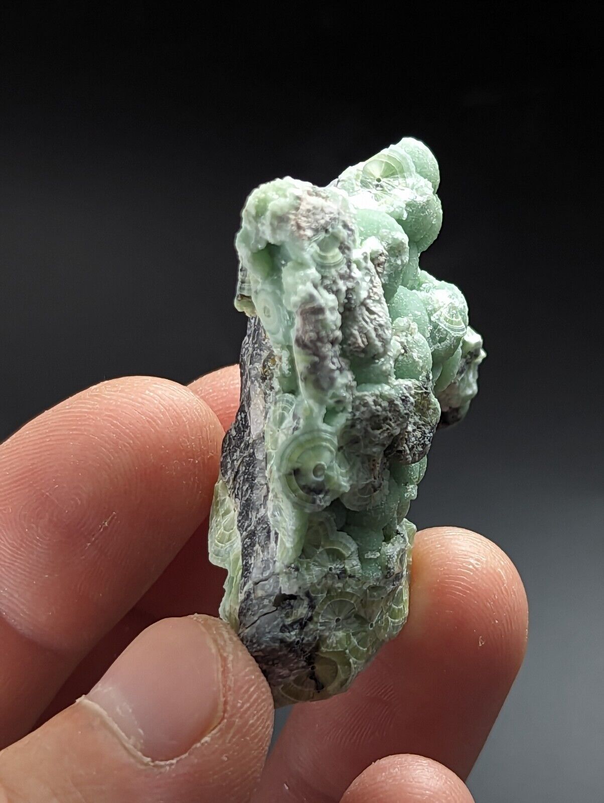 Wavellite - Fantastic Old Stock - Mauldin Mountain Arkansas - Collectibles:Rocks Fossils & Minerals:Crystals Mineral