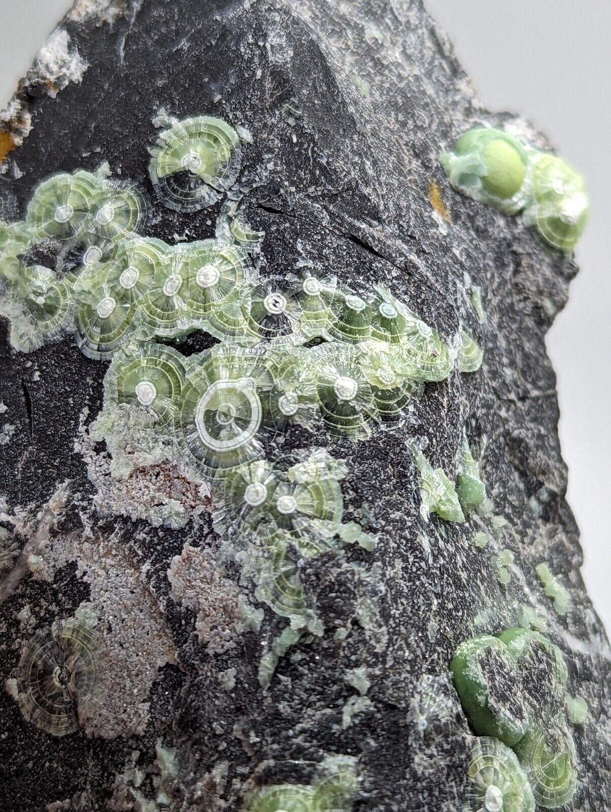 Wavellite - Fantastic Old Stock - Mauldin Mountain Arkansas - Collectibles:Rocks Fossils & Minerals:Crystals Mineral