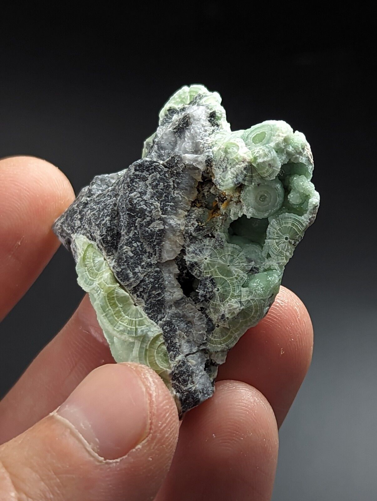 Wavellite - Fantastic Old Stock - Mauldin Mountain Arkansas - Collectibles:Rocks Fossils & Minerals:Crystals Mineral