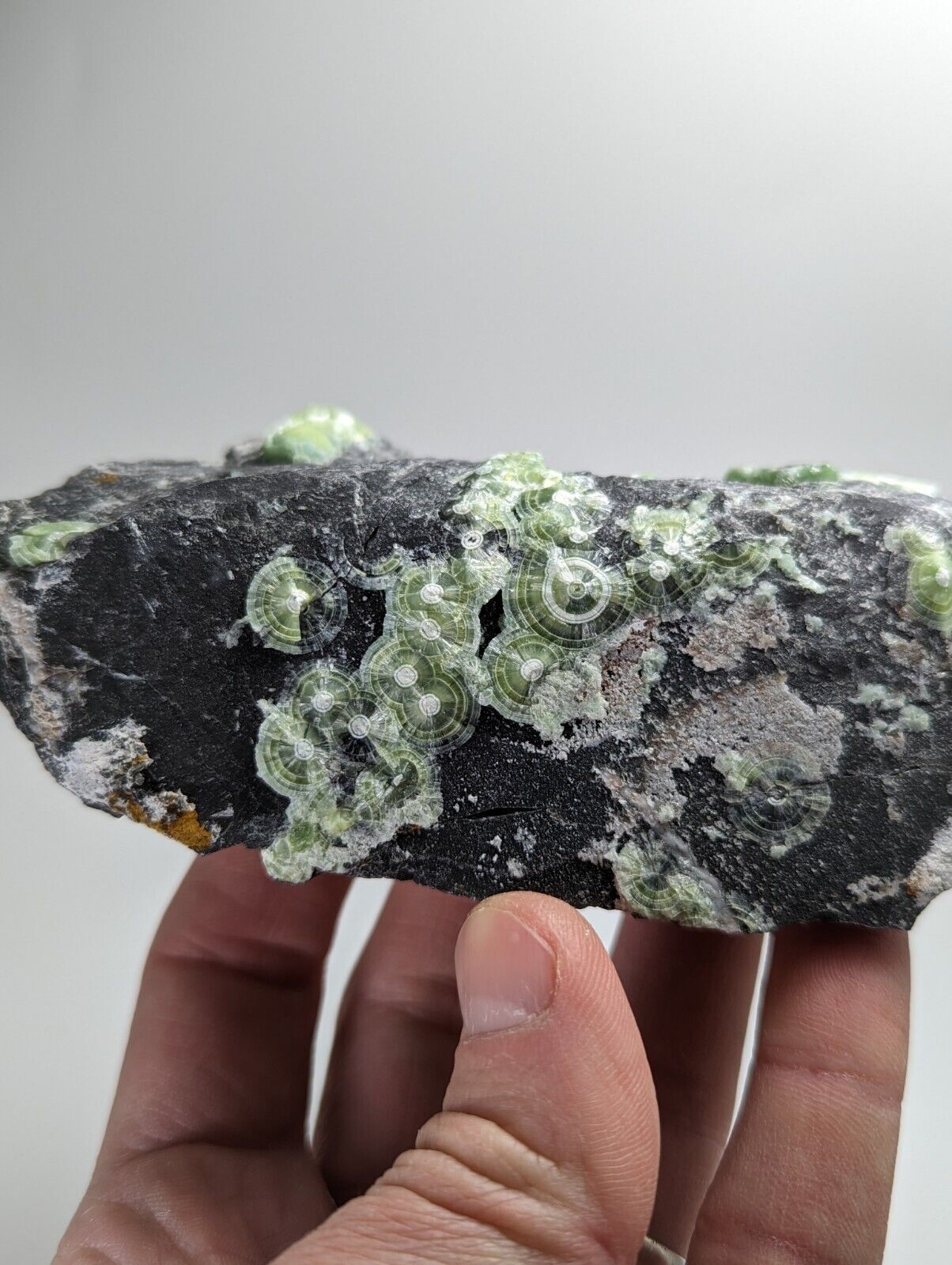 Wavellite - Fantastic Old Stock - Mauldin Mountain Arkansas - Collectibles:Rocks Fossils & Minerals:Crystals Mineral
