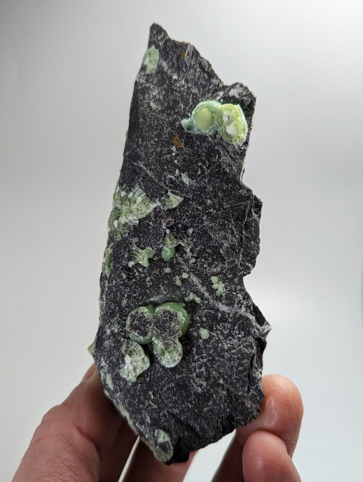 Wavellite - Fantastic Old Stock - Mauldin Mountain Arkansas - Collectibles:Rocks Fossils & Minerals:Crystals Mineral
