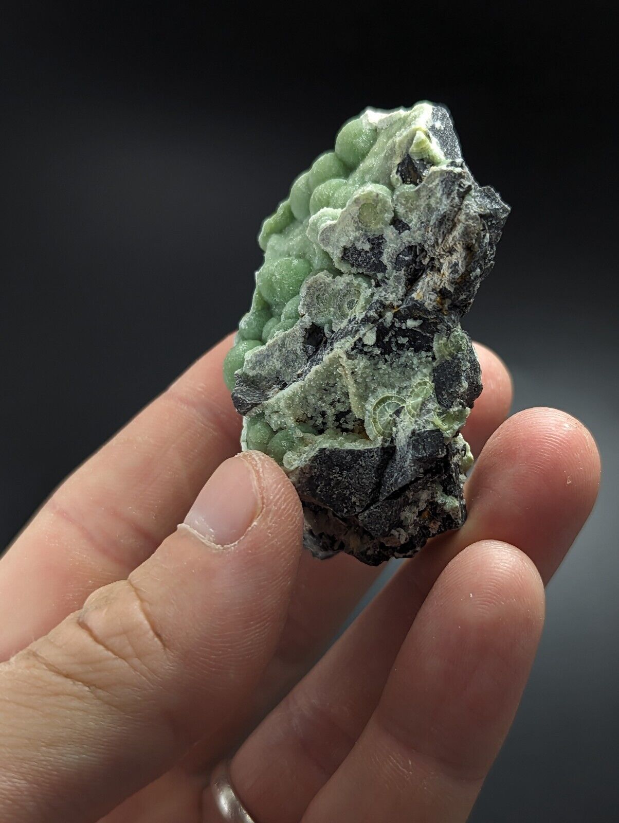 Wavellite - Fantastic Old Stock - Mauldin Mountain Arkansas A + + - Collectibles:Rocks Fossils & Minerals:Crystals