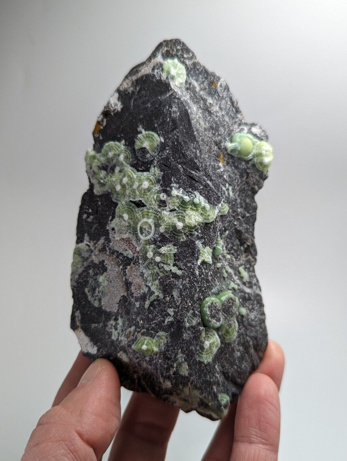 Wavellite - Fantastic Old Stock - Mauldin Mountain Arkansas - Collectibles:Rocks Fossils & Minerals:Crystals Mineral
