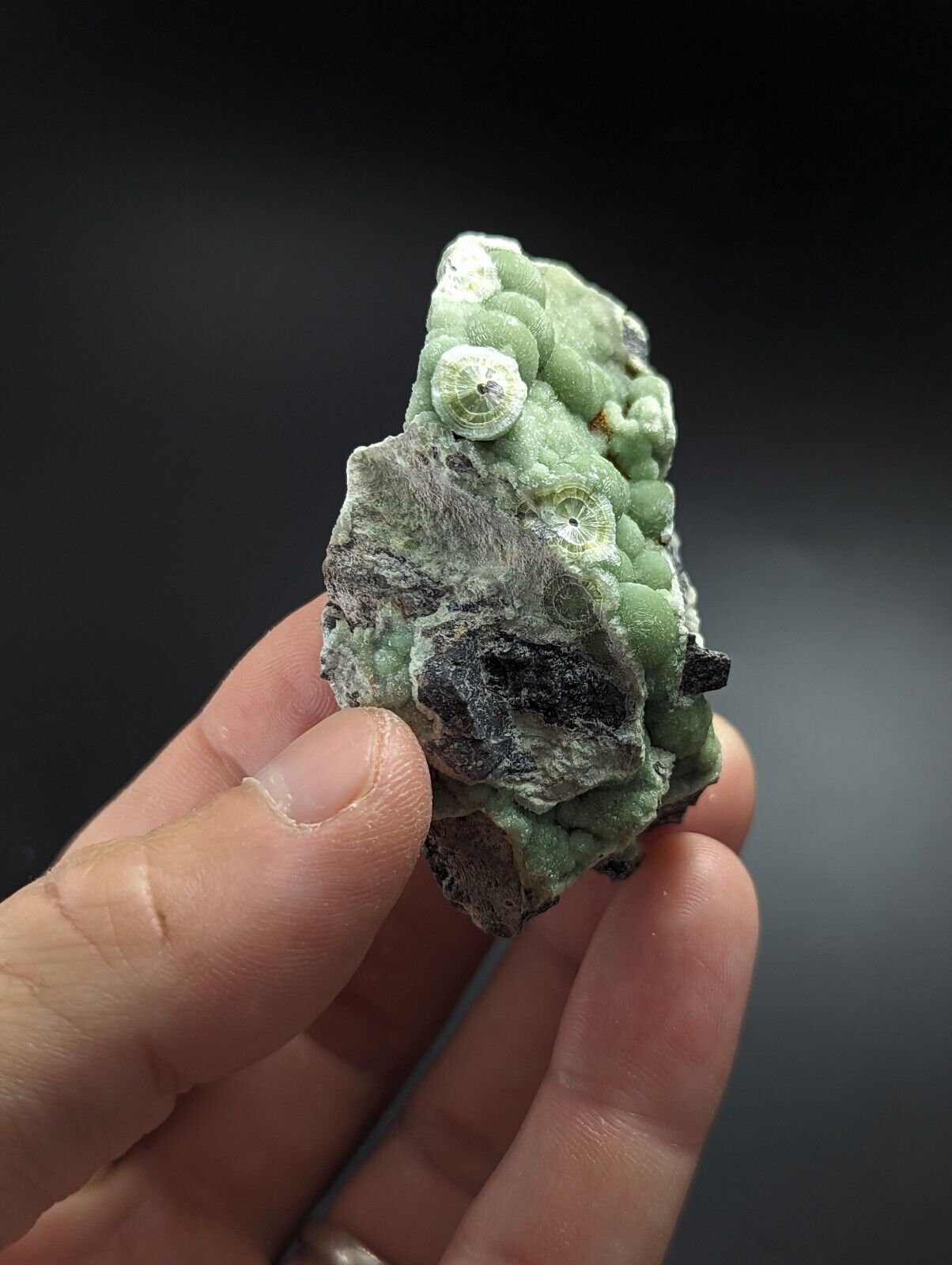 Wavellite - Fantastic Old Stock - Mauldin Mountain Arkansas A + + - Collectibles:Rocks Fossils & Minerals:Crystals