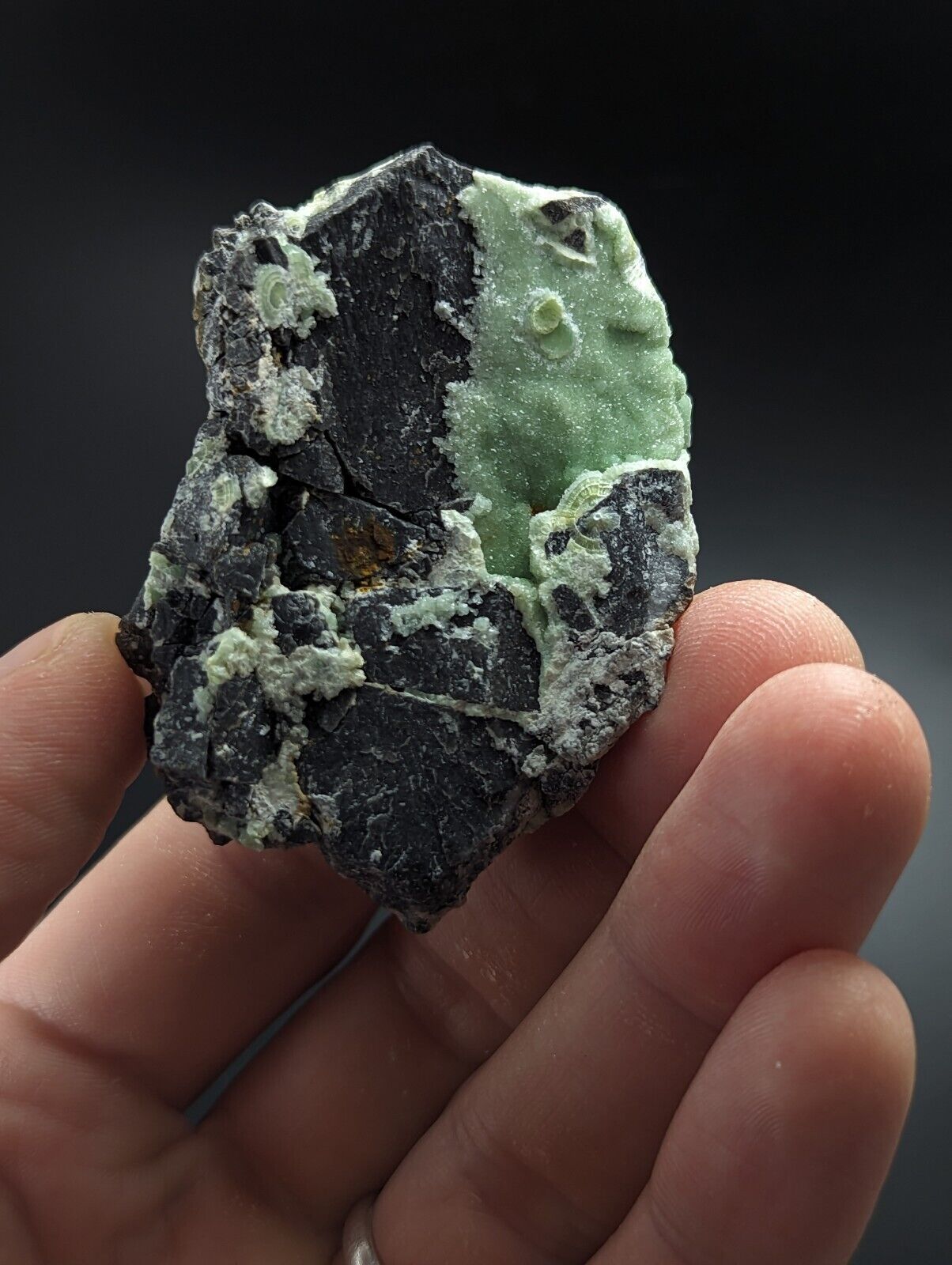 Wavellite - Fantastic Old Stock - Mauldin Mountain Arkansas A + + - Collectibles:Rocks Fossils & Minerals:Crystals
