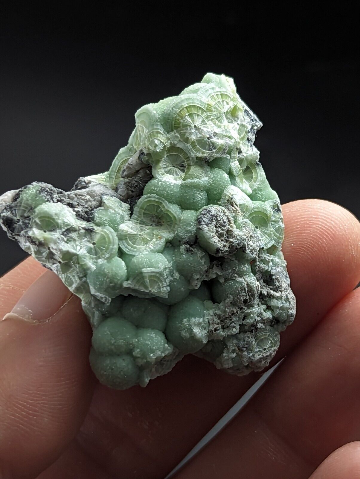 Wavellite - Fantastic Old Stock - Mauldin Mountain Arkansas - Collectibles:Rocks Fossils & Minerals:Crystals Mineral