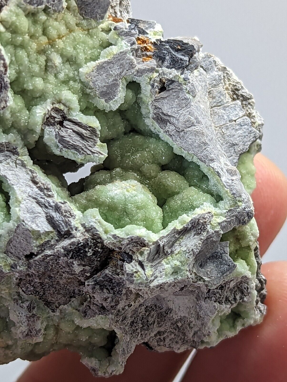 Wavellite - Fantastic Old Stock - Mauldin Mountain Arkansas - Collectibles:Rocks Fossils & Minerals:Crystals Mineral