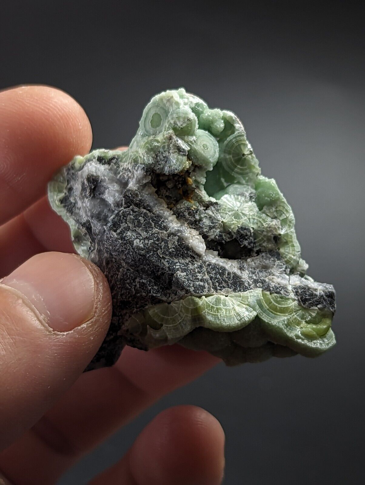 Wavellite - Fantastic Old Stock - Mauldin Mountain Arkansas - Collectibles:Rocks Fossils & Minerals:Crystals Mineral