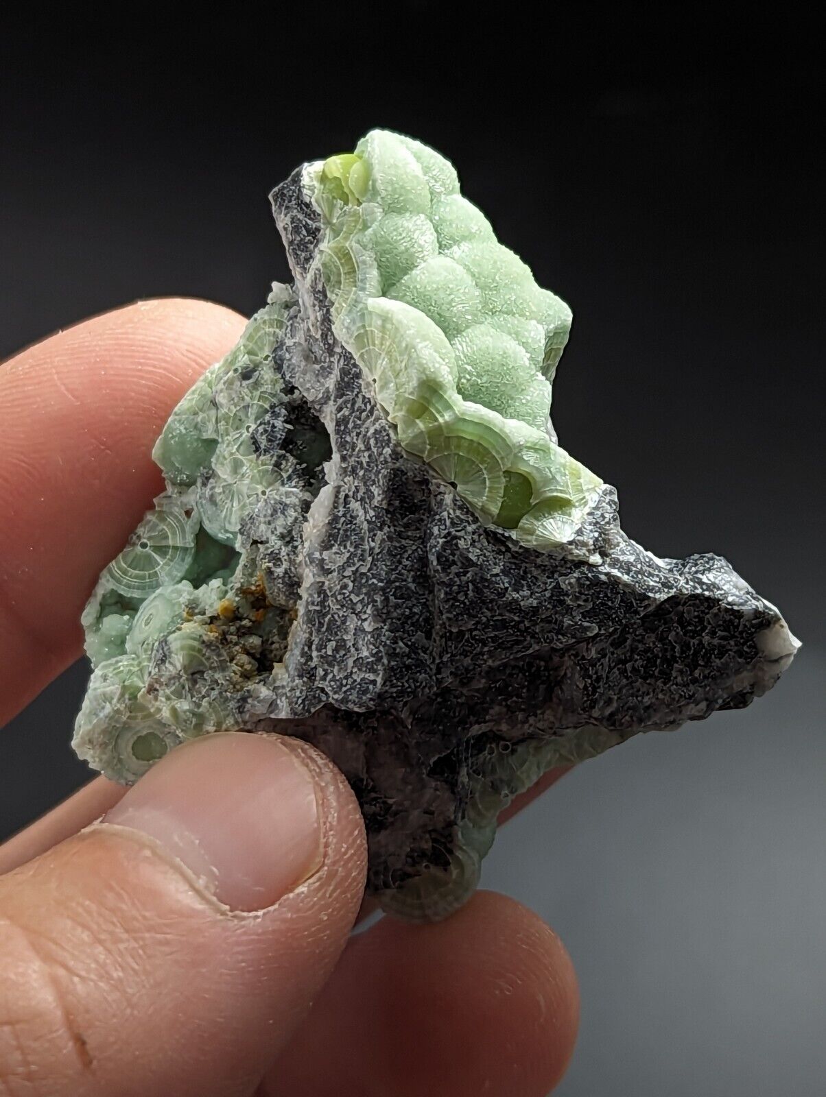 Wavellite - Fantastic Old Stock - Mauldin Mountain Arkansas - Collectibles:Rocks Fossils & Minerals:Crystals Mineral