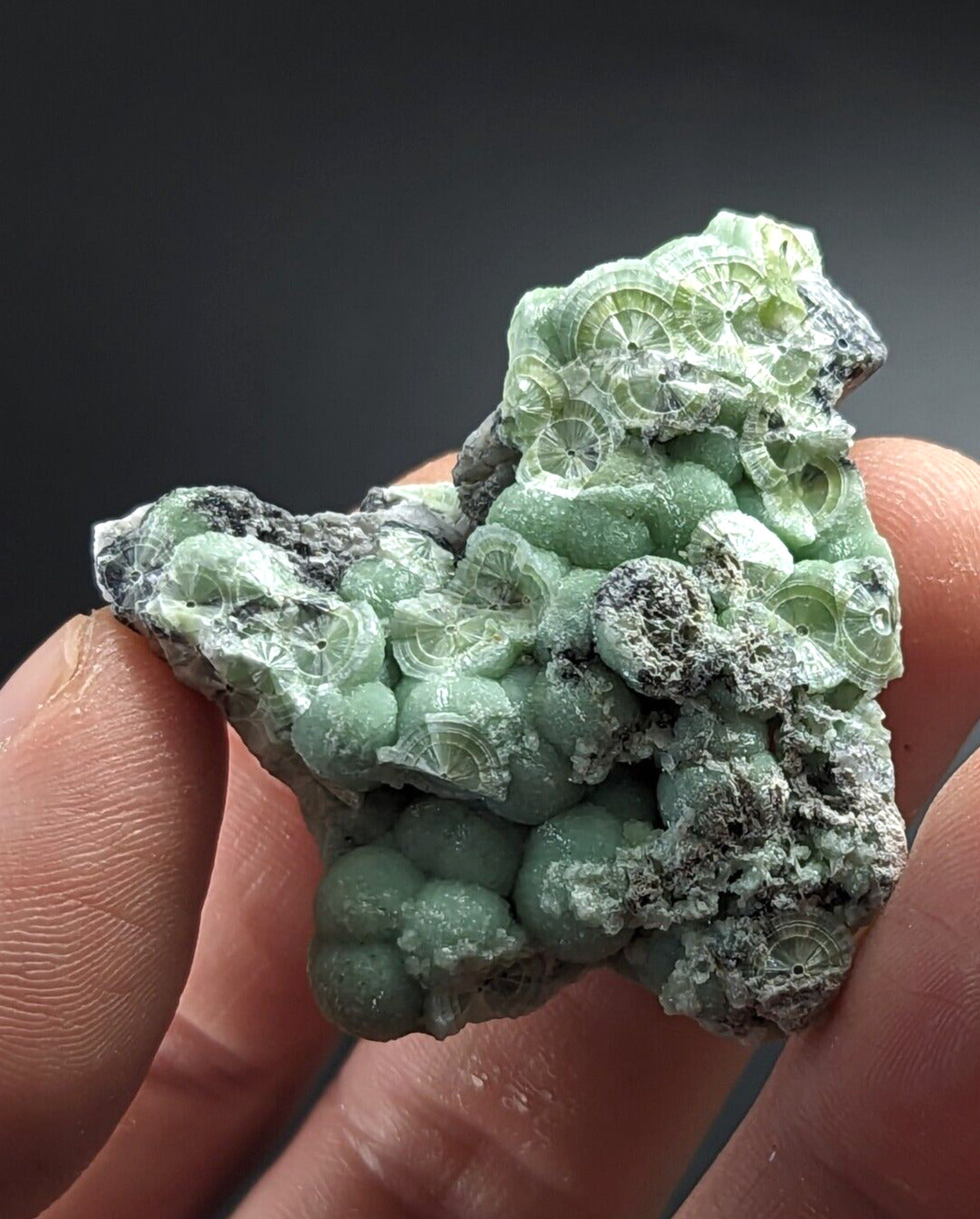 Wavellite - Fantastic Old Stock - Mauldin Mountain Arkansas - Collectibles:Rocks Fossils & Minerals:Crystals Mineral