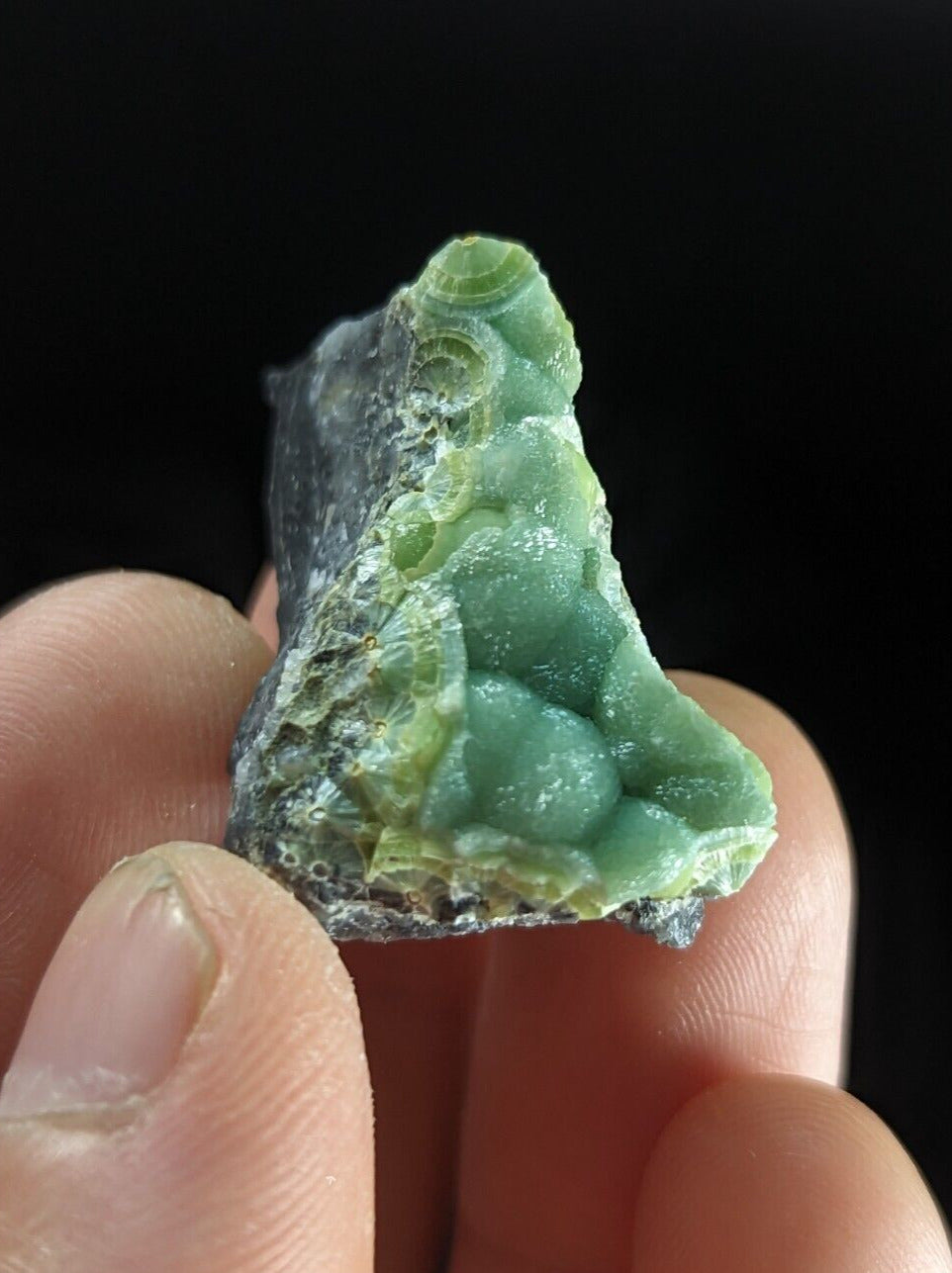 Wavellite - Fantastic Old Stock - Mauldin Mountain Arkansas ooak - Collectibles:Rocks Fossils & Minerals:Crystals