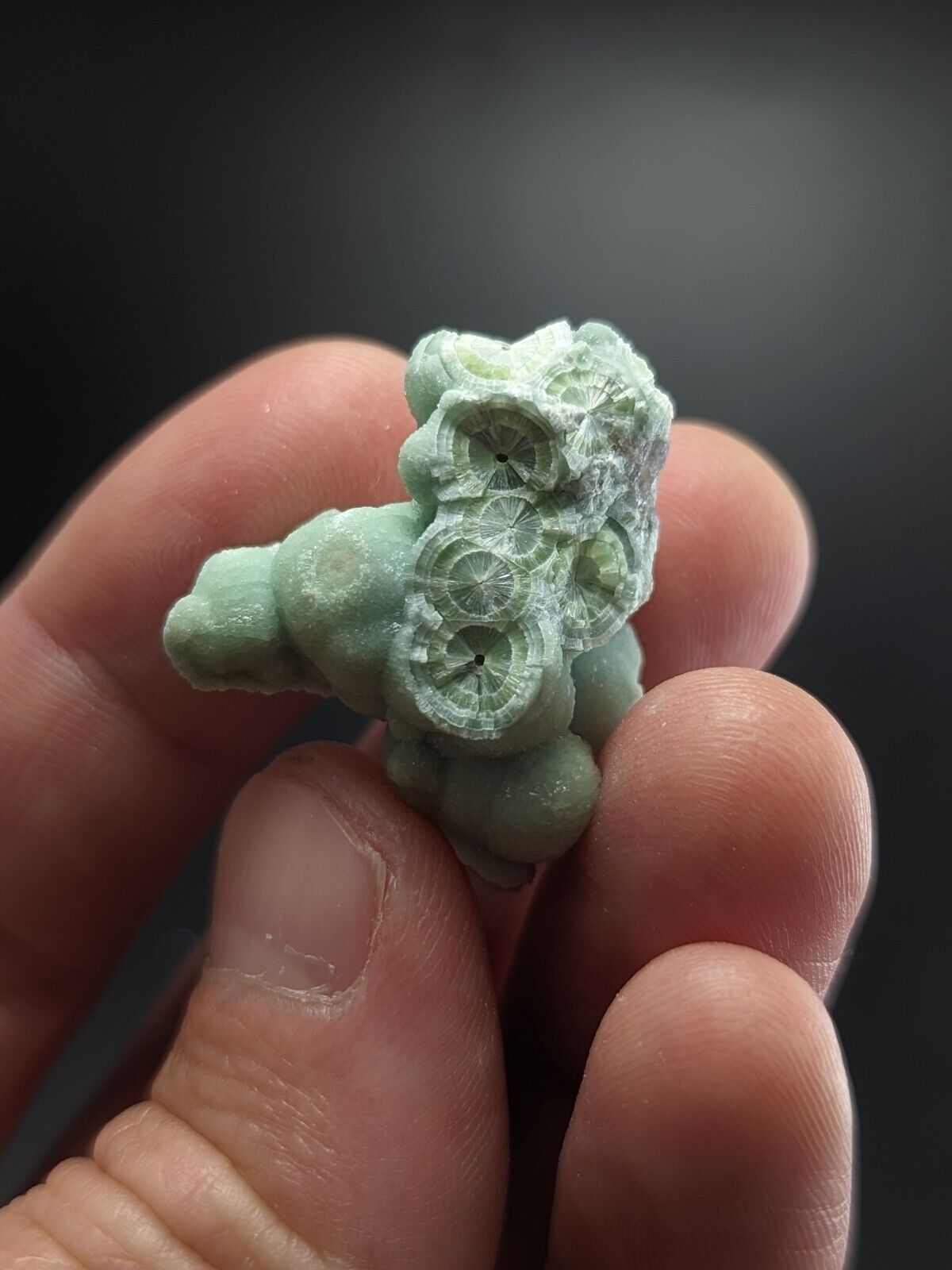 Wavellite - Fantastic Old Stock - Mauldin Mountain Arkansas ooak - Collectibles:Rocks Fossils & Minerals:Crystals