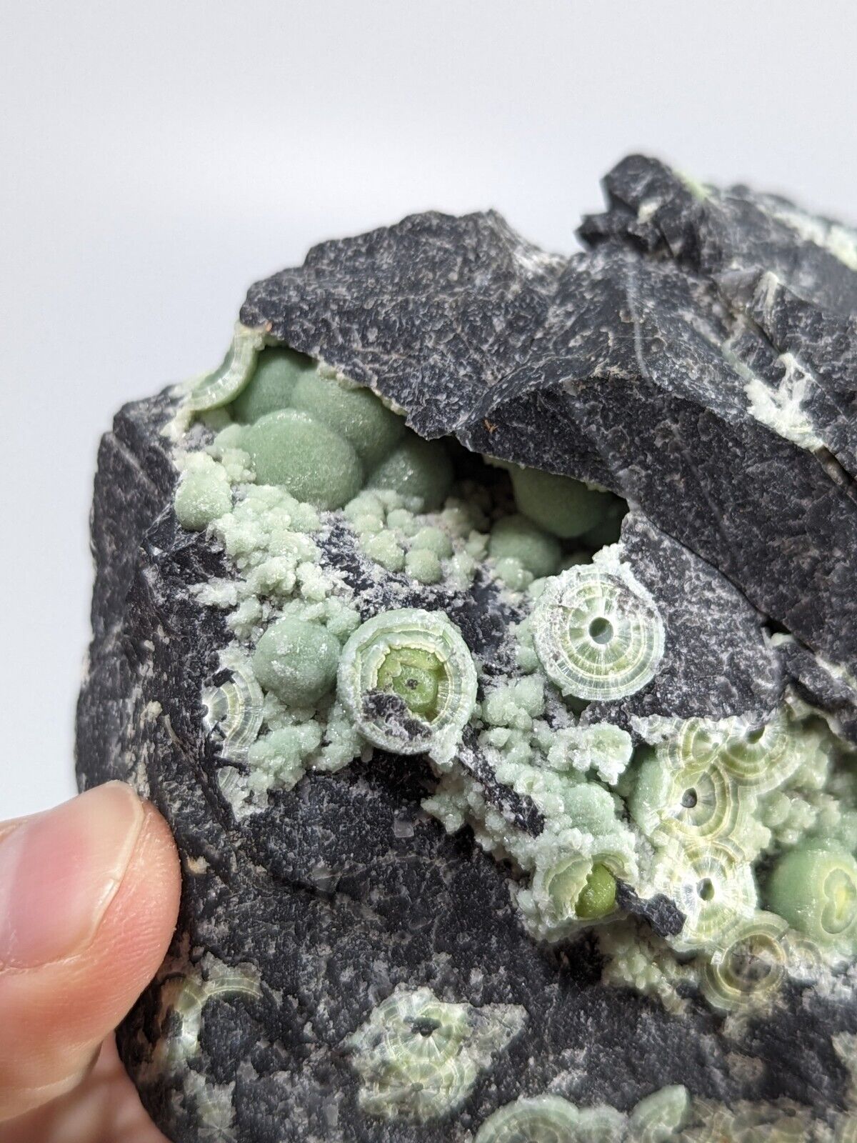 Wavellite - Fantastic Old Stock - Mauldin Mountain Arkansas ooak - Collectibles:Rocks Fossils & Minerals:Crystals