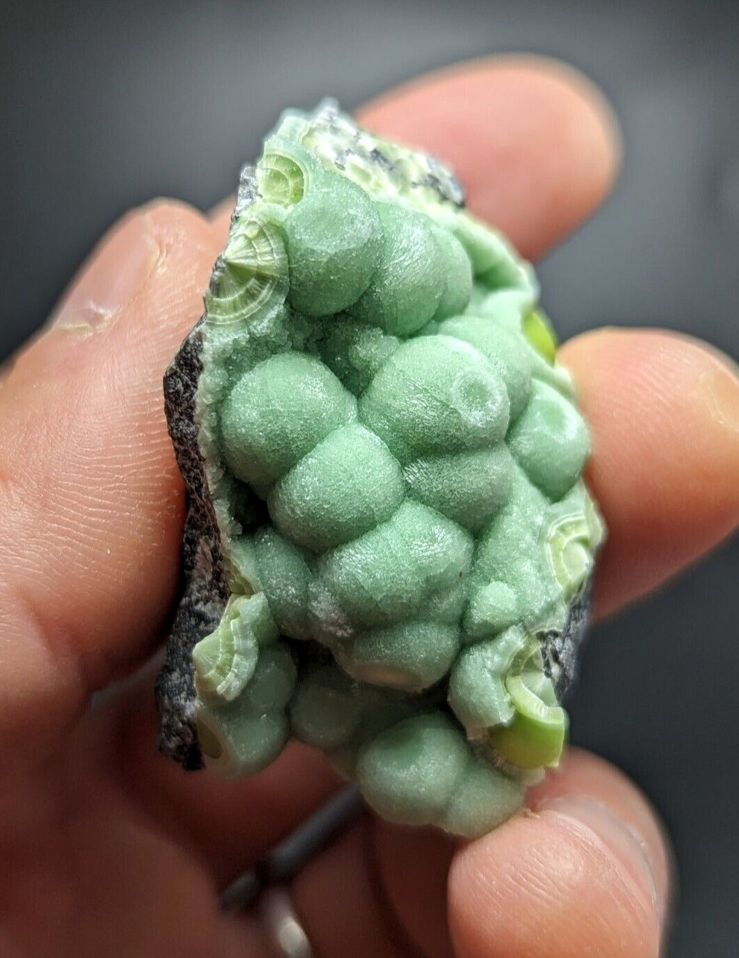 Wavellite - Fantastic Old Stock - Mauldin Mountain Arkansas ooak - Collectibles:Rocks Fossils & Minerals:Crystals
