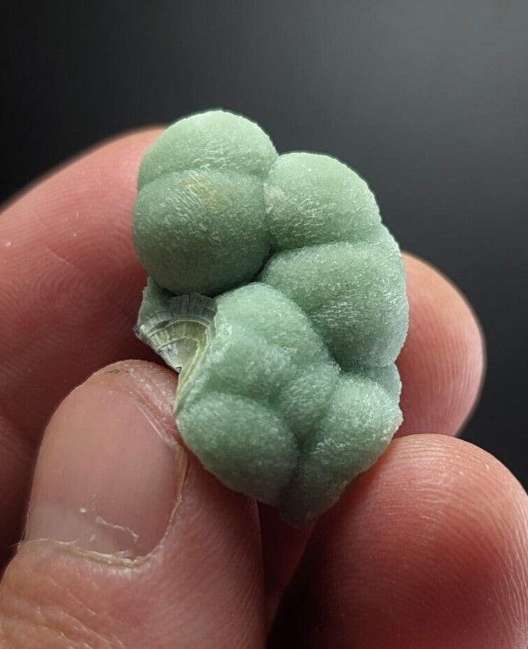 Wavellite - Fantastic Old Stock - Mauldin Mountain Arkansas ooak - Collectibles:Rocks Fossils & Minerals:Crystals