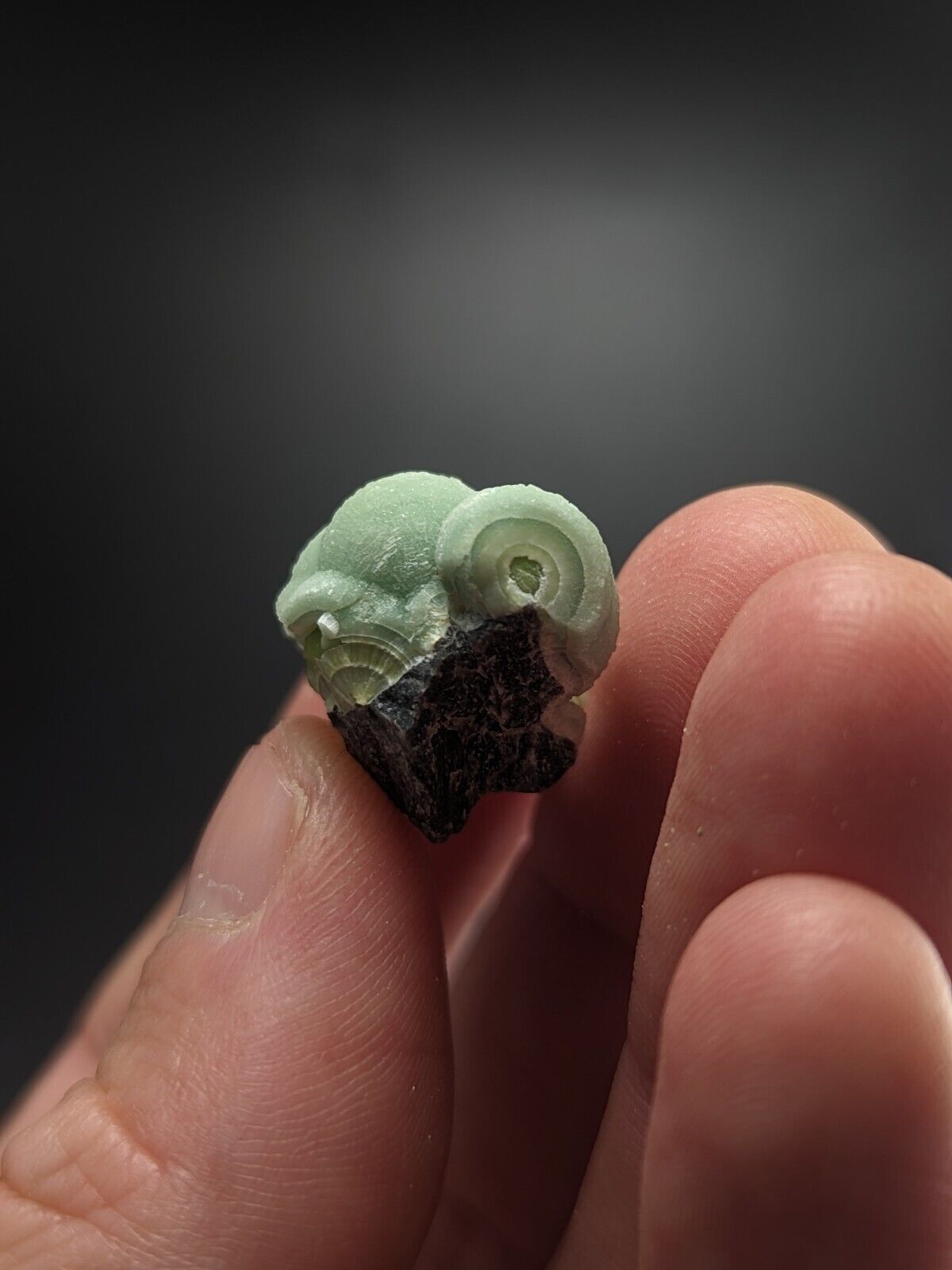 Wavellite - Fantastic Old Stock - Mauldin Mountain Arkansas ooak - Collectibles:Rocks Fossils & Minerals:Crystals