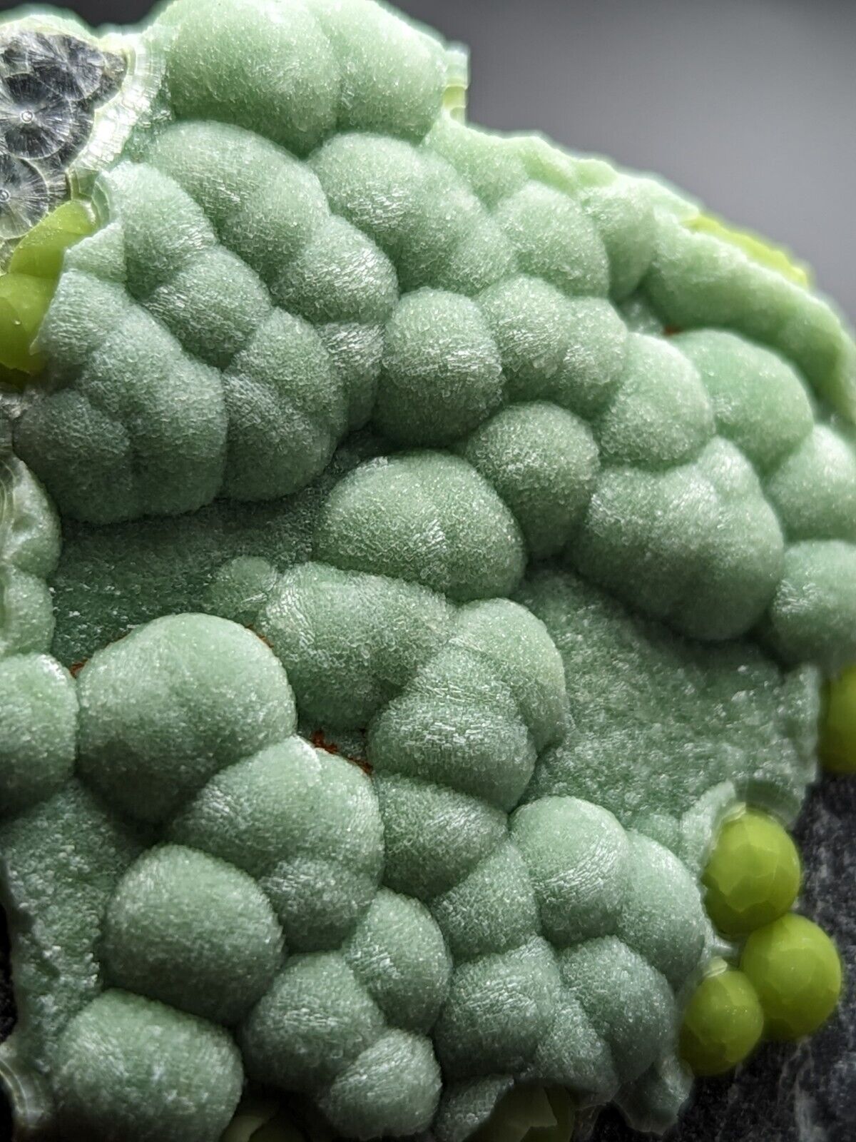 Wavellite - Fantastic Old Stock - Mauldin Mountain Arkansas ooak - Collectibles:Rocks Fossils & Minerals:Crystals