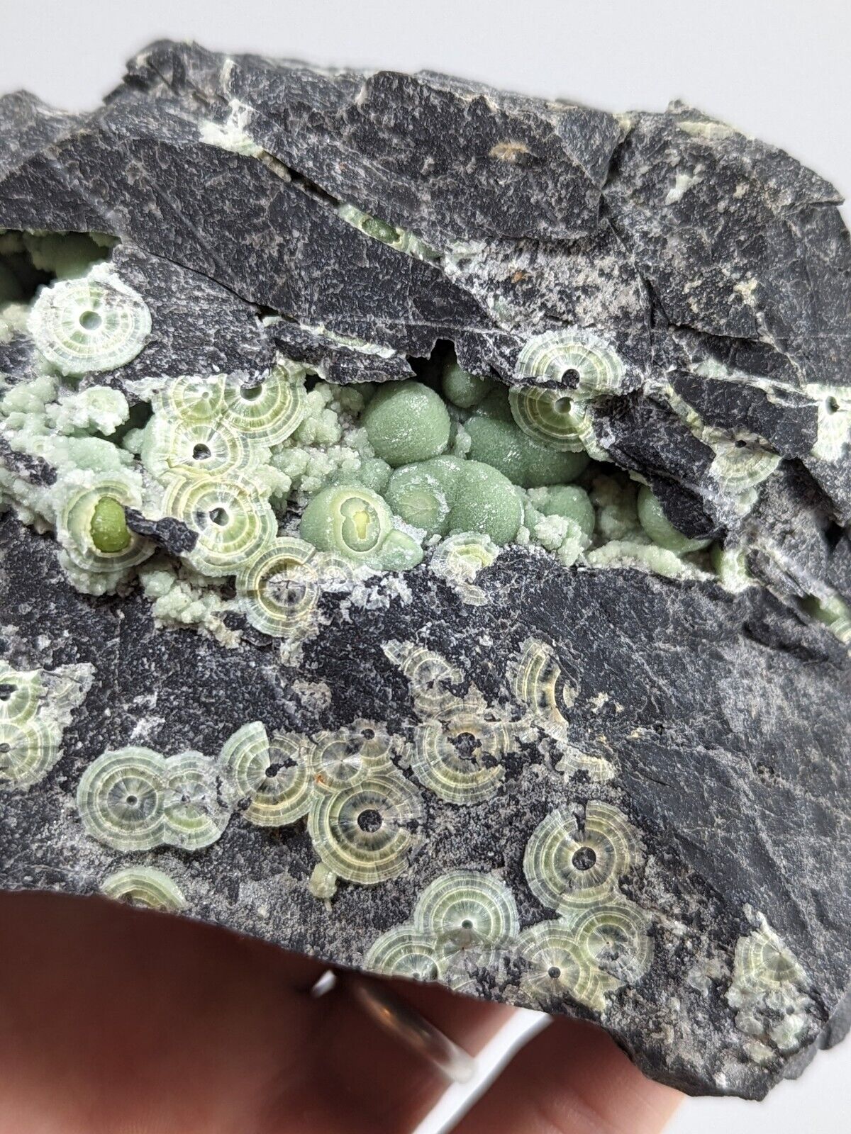 Wavellite - Fantastic Old Stock - Mauldin Mountain Arkansas ooak - Collectibles:Rocks Fossils & Minerals:Crystals