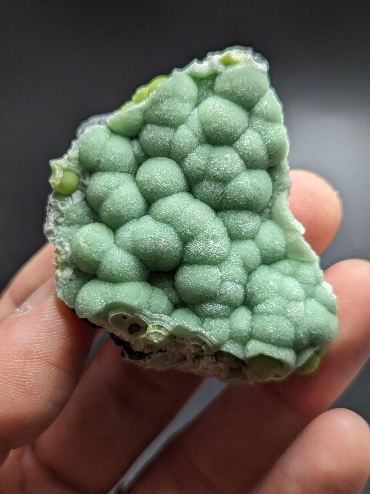 Wavellite - Fantastic Old Stock - Mauldin Mountain Arkansas ooak - Collectibles:Rocks Fossils & Minerals:Crystals