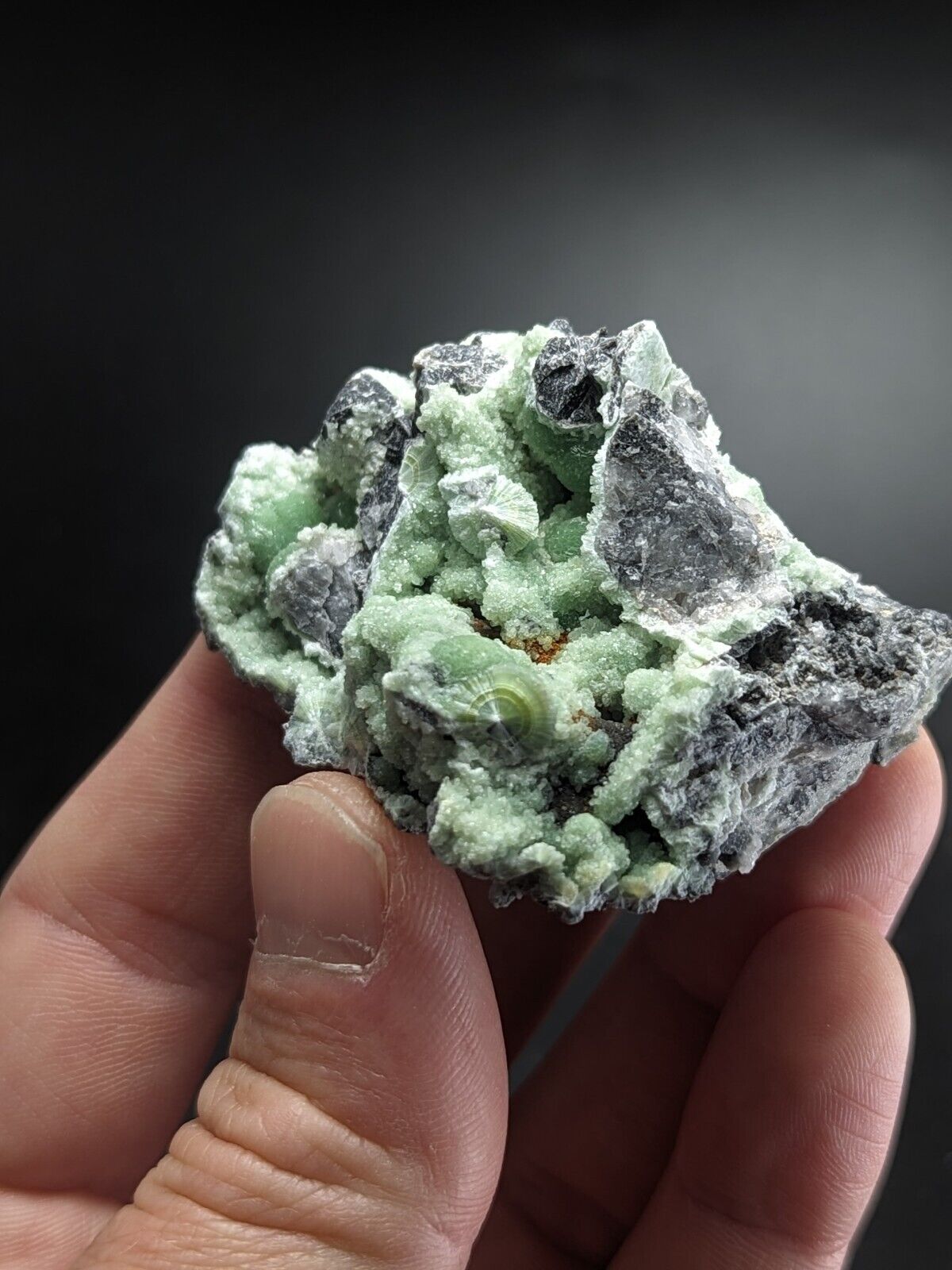 Wavellite - Fantastic Old Stock - Mauldin Mountain Arkansas ooak - Collectibles:Rocks Fossils & Minerals:Crystals