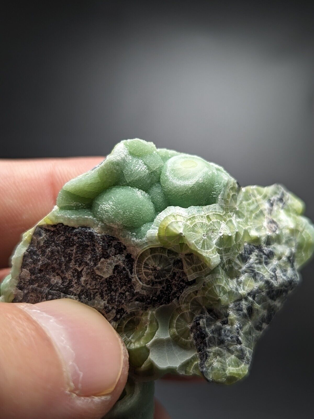 Wavellite - Fantastic Old Stock - Mauldin Mountain Arkansas ooak - Collectibles:Rocks Fossils & Minerals:Crystals