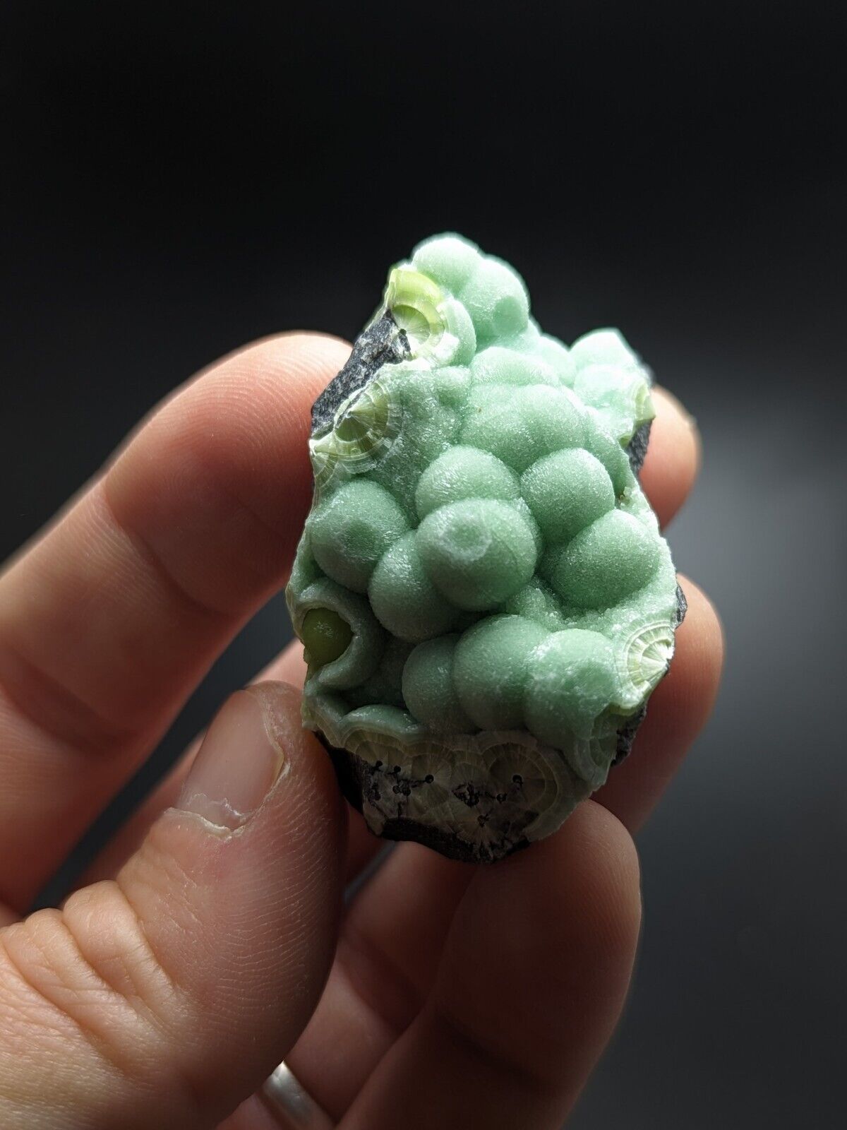 Wavellite - Fantastic Old Stock - Mauldin Mountain Arkansas ooak - Collectibles:Rocks Fossils & Minerals:Crystals