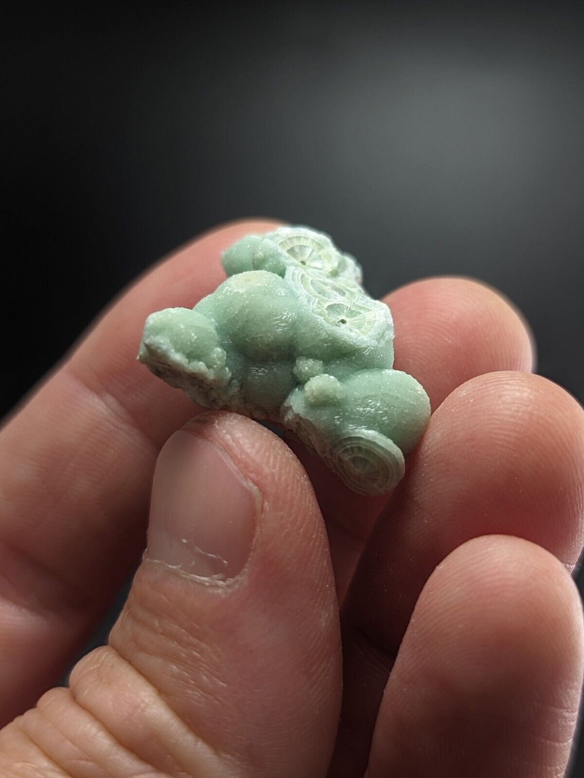 Wavellite - Fantastic Old Stock - Mauldin Mountain Arkansas ooak - Collectibles:Rocks Fossils & Minerals:Crystals