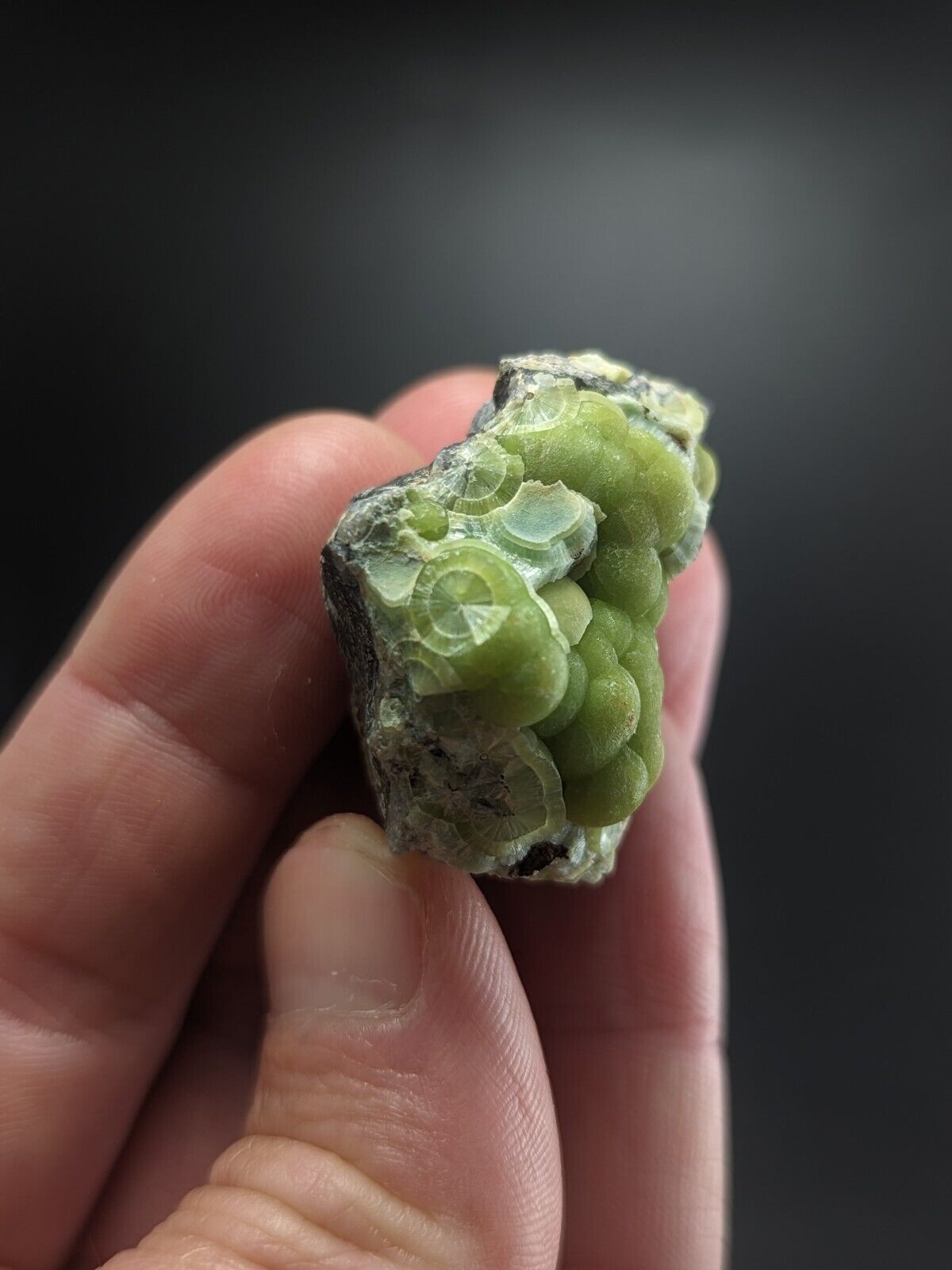 Wavellite - Fantastic Old Stock - Mauldin Mountain Arkansas ooak - Collectibles:Rocks Fossils & Minerals:Crystals