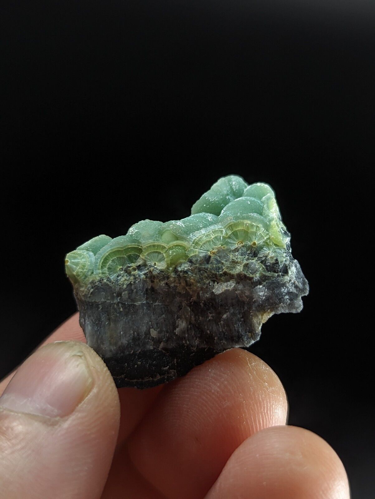 Wavellite - Fantastic Old Stock - Mauldin Mountain Arkansas ooak - Collectibles:Rocks Fossils & Minerals:Crystals