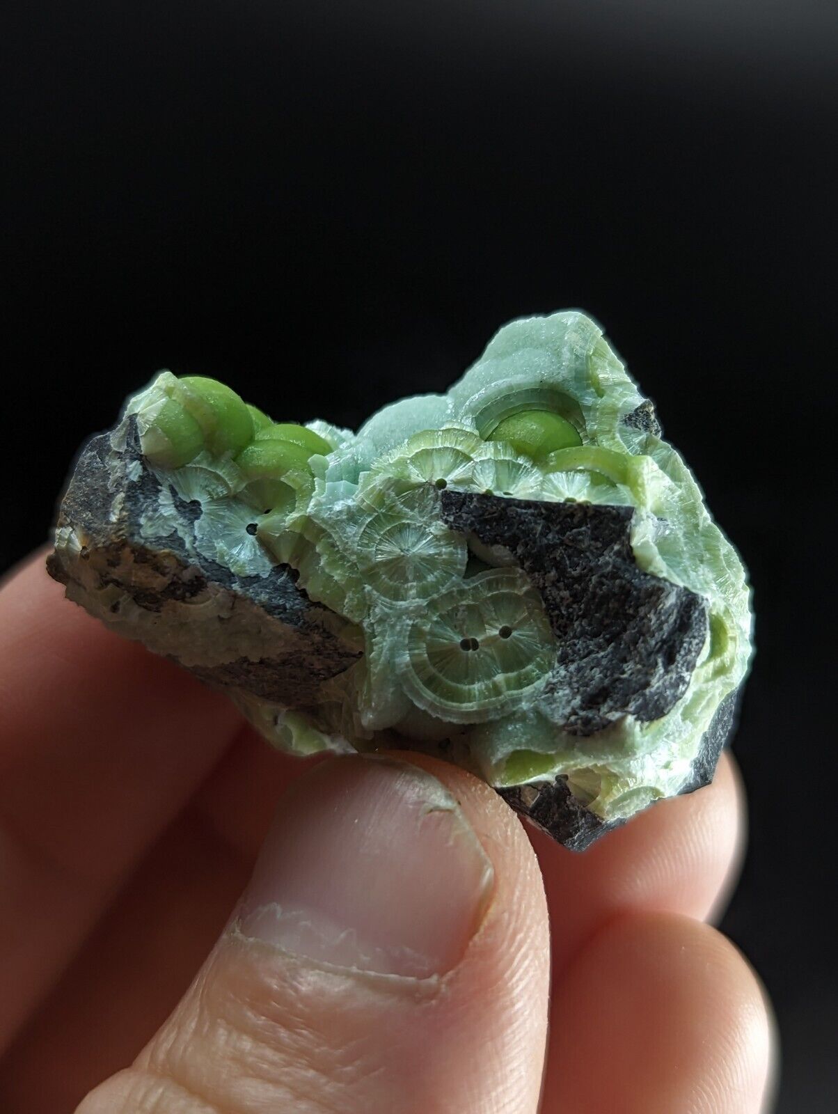 Wavellite - Fantastic Old Stock - Mauldin Mountain Arkansas ooak - Collectibles:Rocks Fossils & Minerals:Crystals