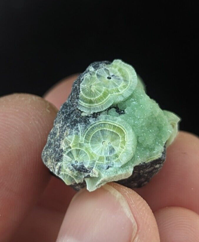 Wavellite - Fantastic Old Stock - Mauldin Mountain Arkansas ooak - Collectibles:Rocks Fossils & Minerals:Crystals