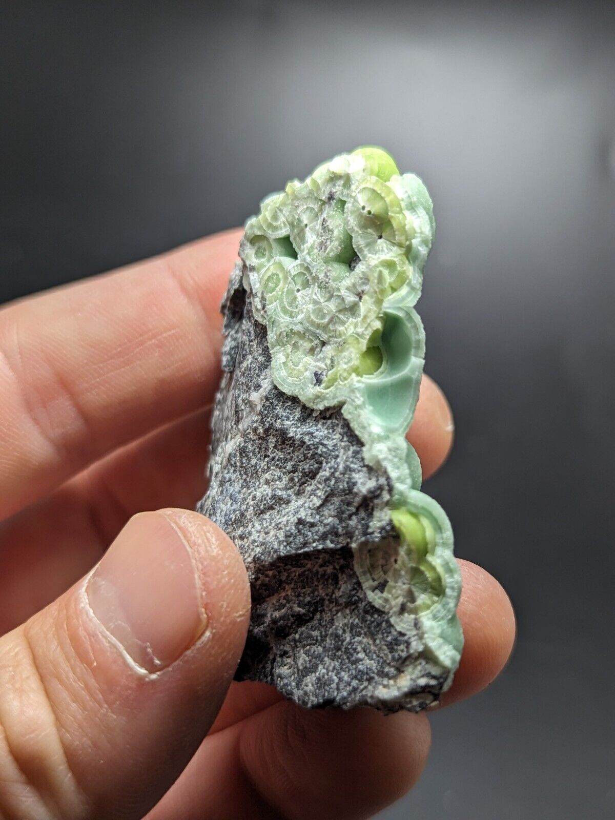 Wavellite - Fantastic Old Stock - Mauldin Mountain Arkansas ooak - Collectibles:Rocks Fossils & Minerals:Crystals