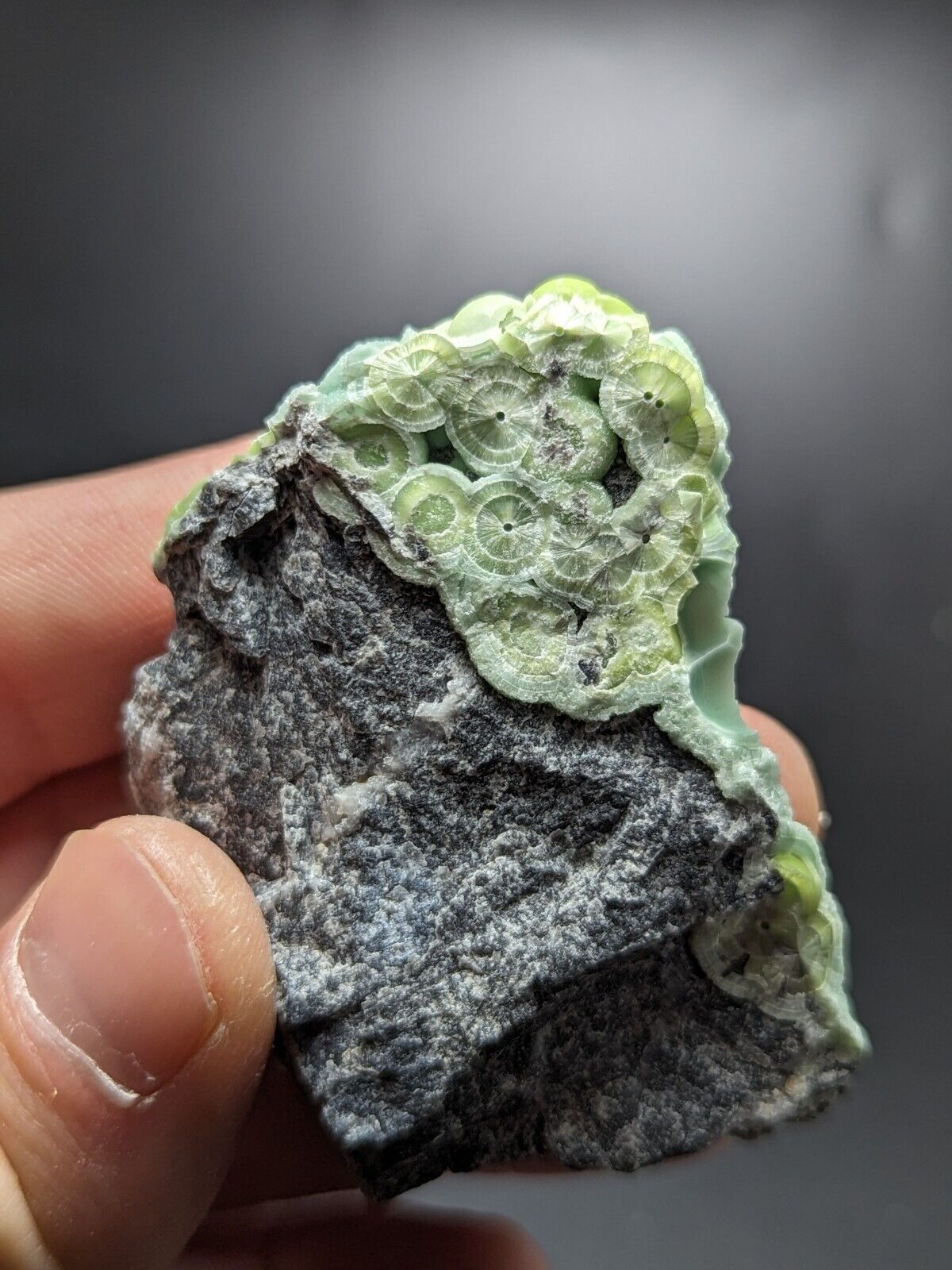 Wavellite - Fantastic Old Stock - Mauldin Mountain Arkansas ooak - Collectibles:Rocks Fossils & Minerals:Crystals