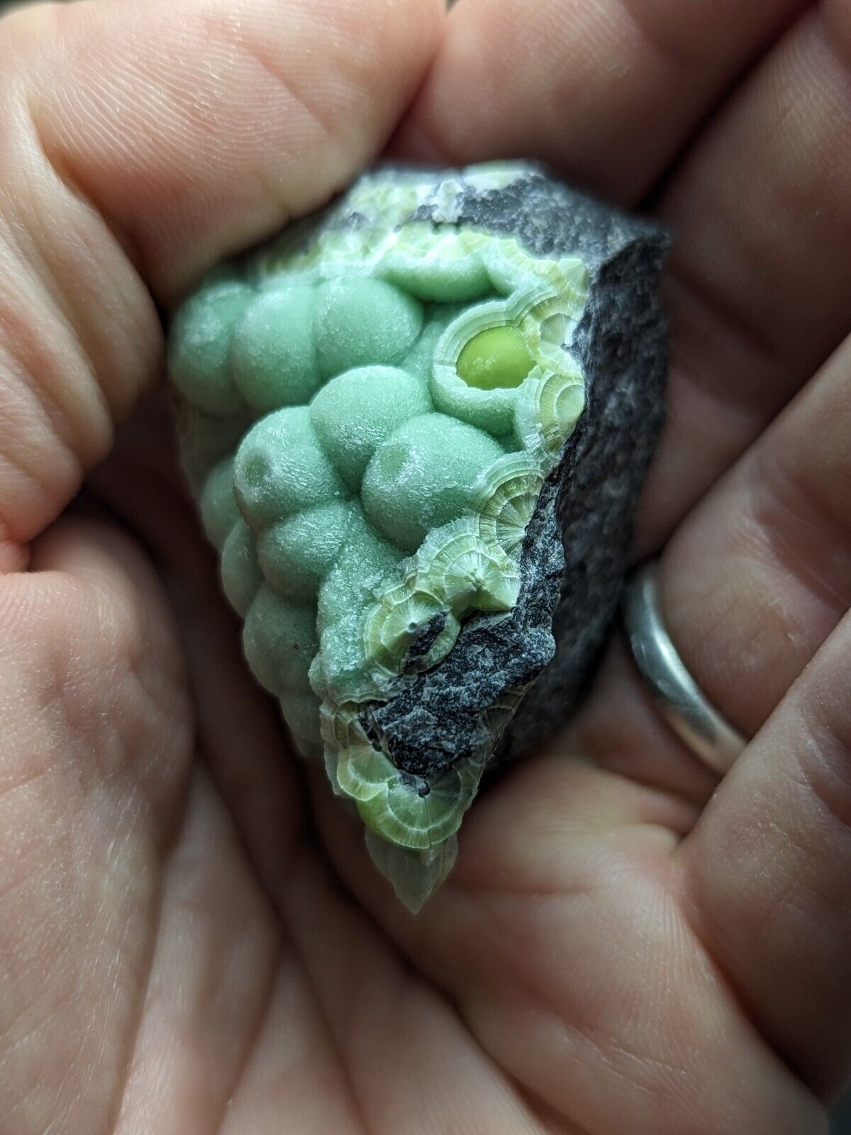Wavellite - Fantastic Old Stock - Mauldin Mountain Arkansas ooak - Collectibles:Rocks Fossils & Minerals:Crystals