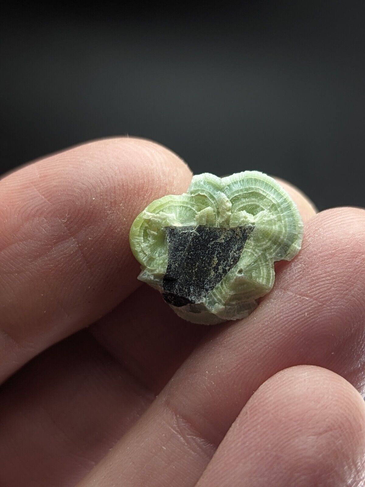 Wavellite - Fantastic Old Stock - Mauldin Mountain Arkansas ooak - Collectibles:Rocks Fossils & Minerals:Crystals