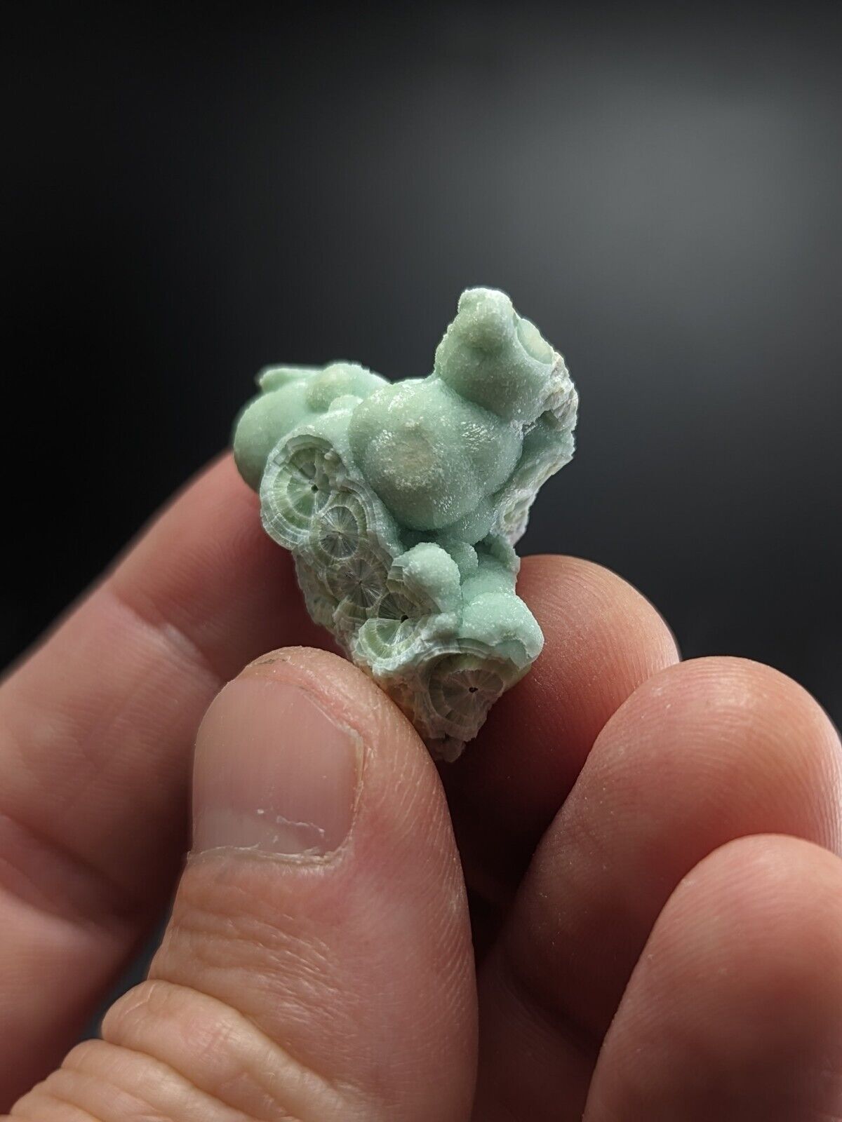 Wavellite - Fantastic Old Stock - Mauldin Mountain Arkansas ooak - Collectibles:Rocks Fossils & Minerals:Crystals