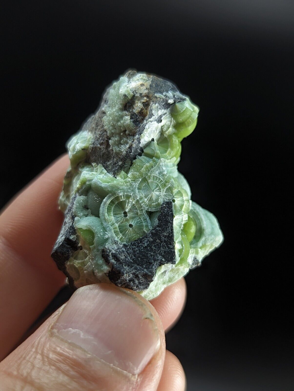 Wavellite - Fantastic Old Stock - Mauldin Mountain Arkansas ooak - Collectibles:Rocks Fossils & Minerals:Crystals