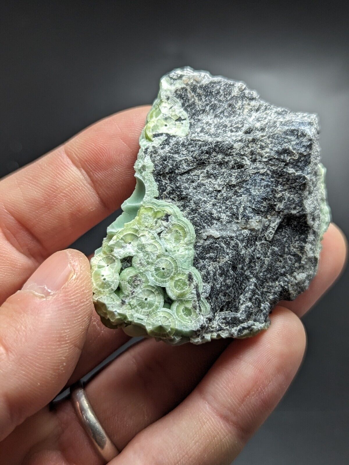 Wavellite - Fantastic Old Stock - Mauldin Mountain Arkansas ooak - Collectibles:Rocks Fossils & Minerals:Crystals