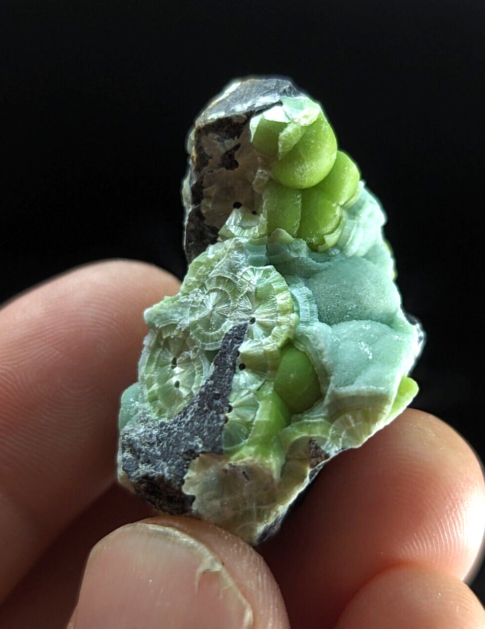 Wavellite - Fantastic Old Stock - Mauldin Mountain Arkansas ooak - Collectibles:Rocks Fossils & Minerals:Crystals