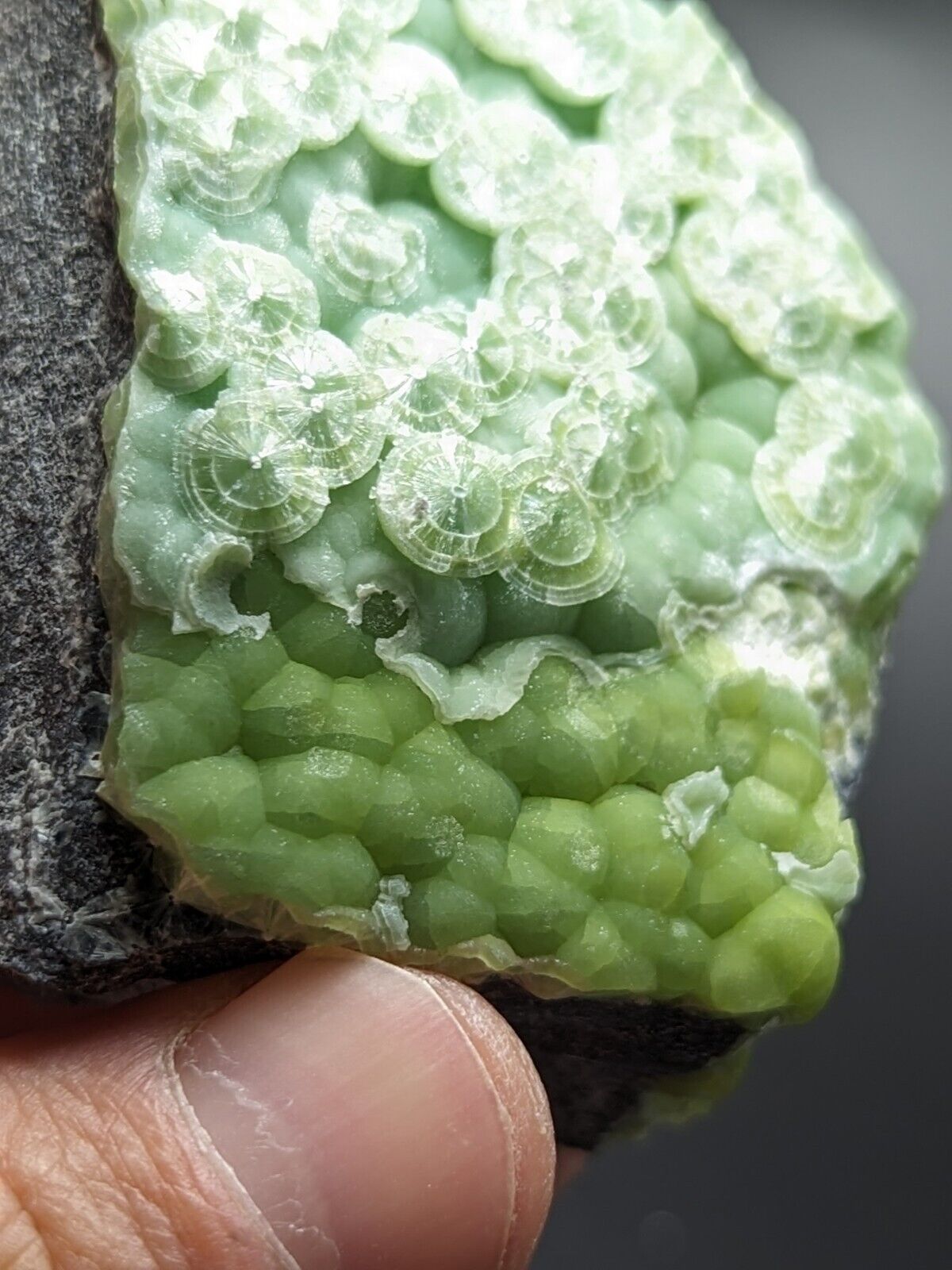 Wavellite - Fantastic Old Stock - Mauldin Mountain Arkansas ooak - Collectibles:Rocks Fossils & Minerals:Crystals