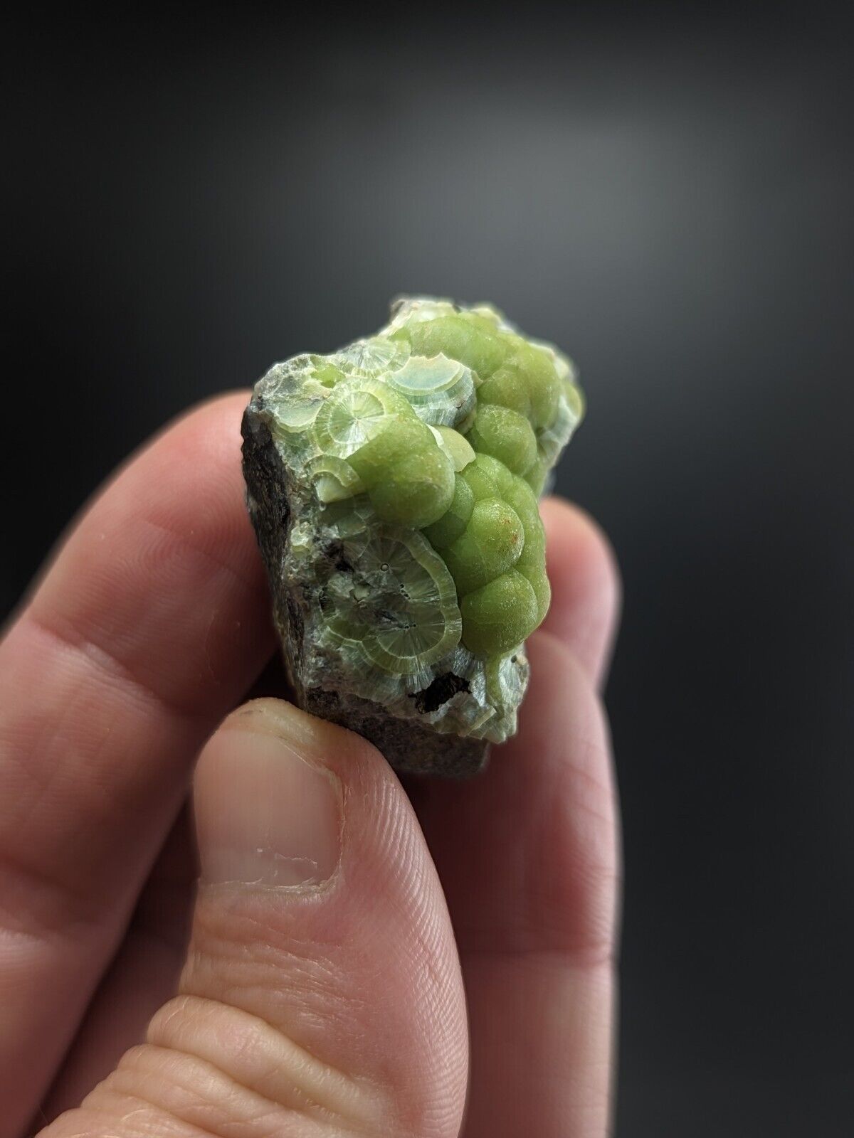 Wavellite - Fantastic Old Stock - Mauldin Mountain Arkansas ooak - Collectibles:Rocks Fossils & Minerals:Crystals