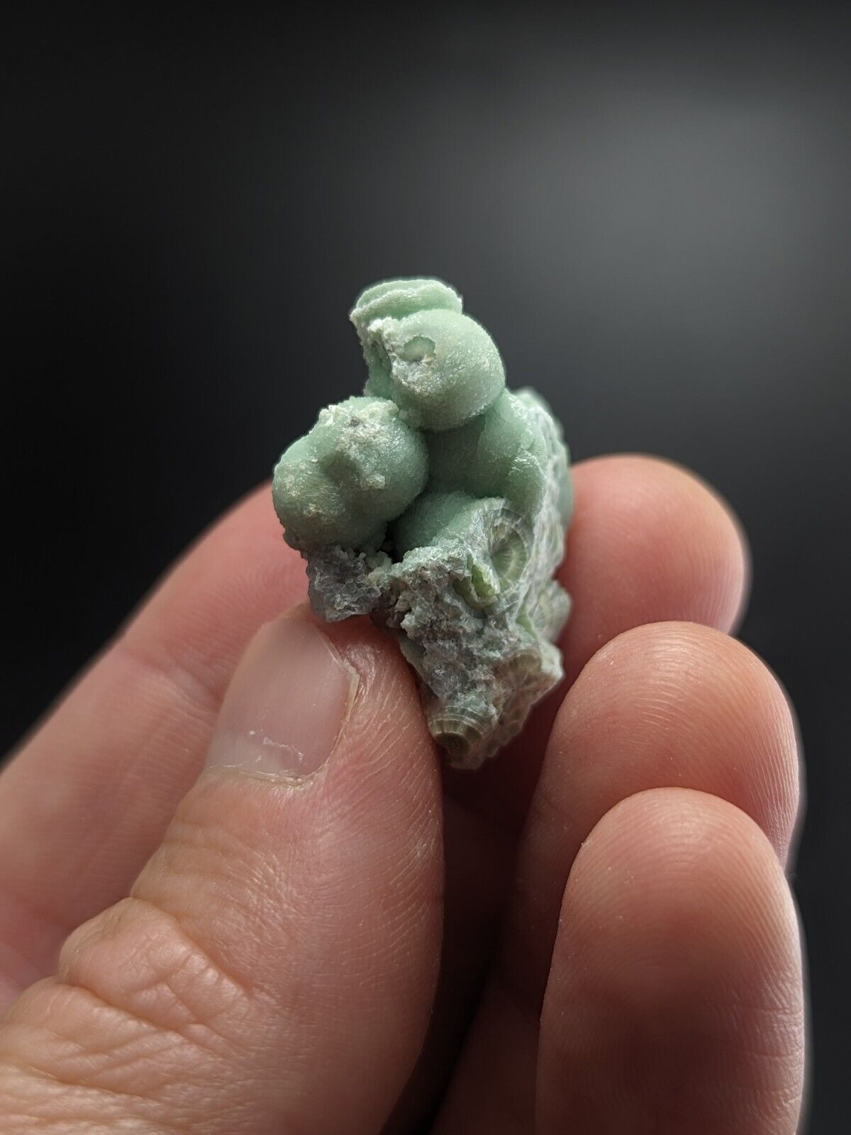 Wavellite - Fantastic Old Stock - Mauldin Mountain Arkansas ooak - Collectibles:Rocks Fossils & Minerals:Crystals