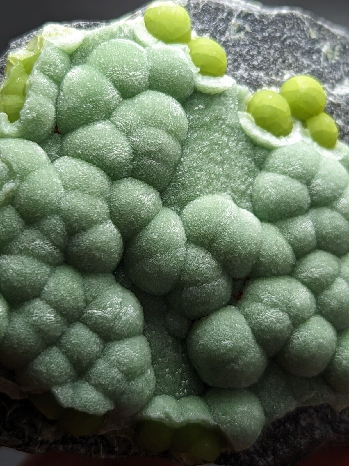 Wavellite - Fantastic Old Stock - Mauldin Mountain Arkansas ooak - Collectibles:Rocks Fossils & Minerals:Crystals