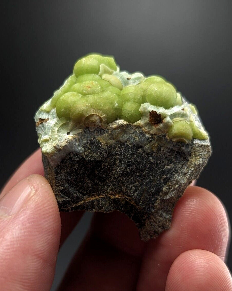 Wavellite - Fantastic Old Stock - Mauldin Mountain Arkansas ooak - Collectibles:Rocks Fossils & Minerals:Crystals
