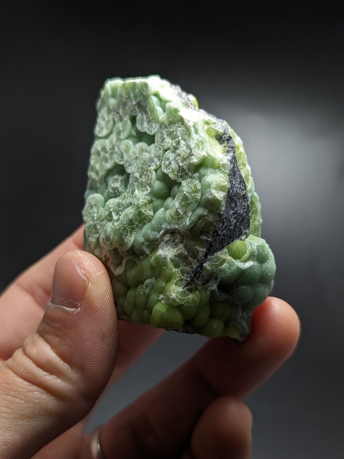 Wavellite - Fantastic Old Stock - Mauldin Mountain Arkansas ooak - Collectibles:Rocks Fossils & Minerals:Crystals